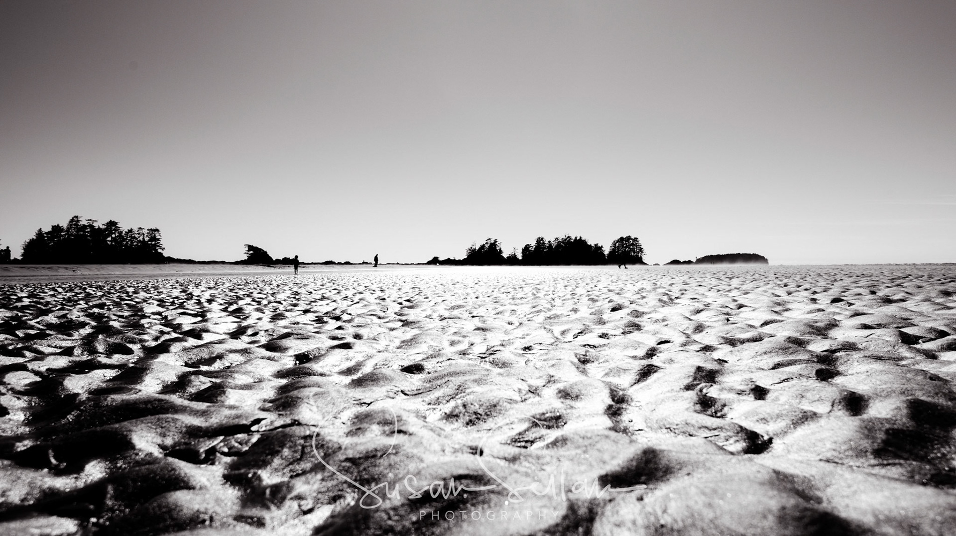 Clam's eye view of Tofino beach, B.C.