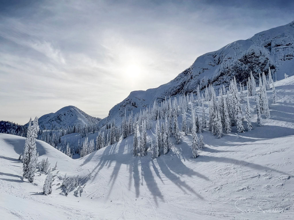 Trees frozen in time, Fernie, B.C.