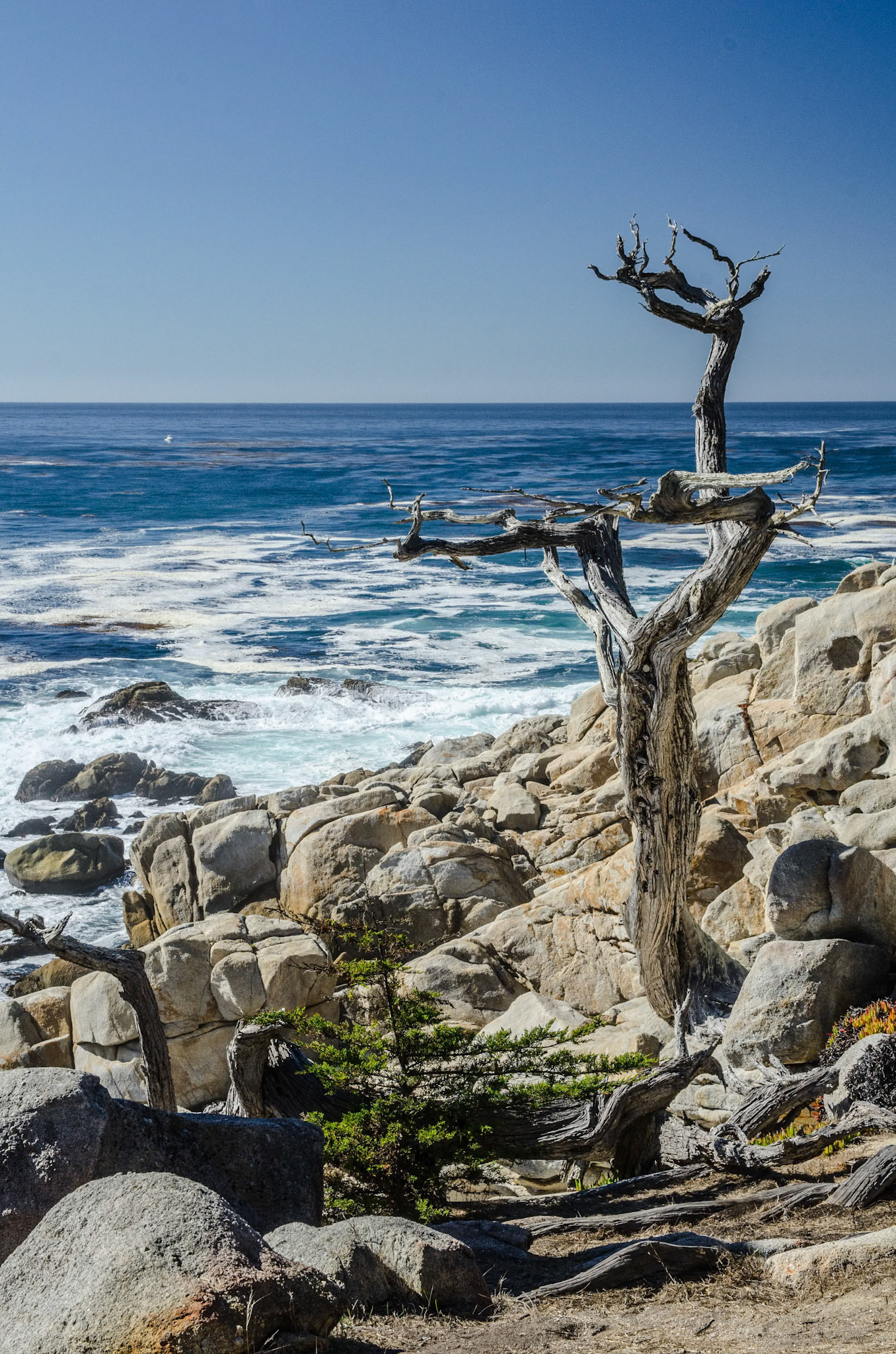 Dramatic California coastline
