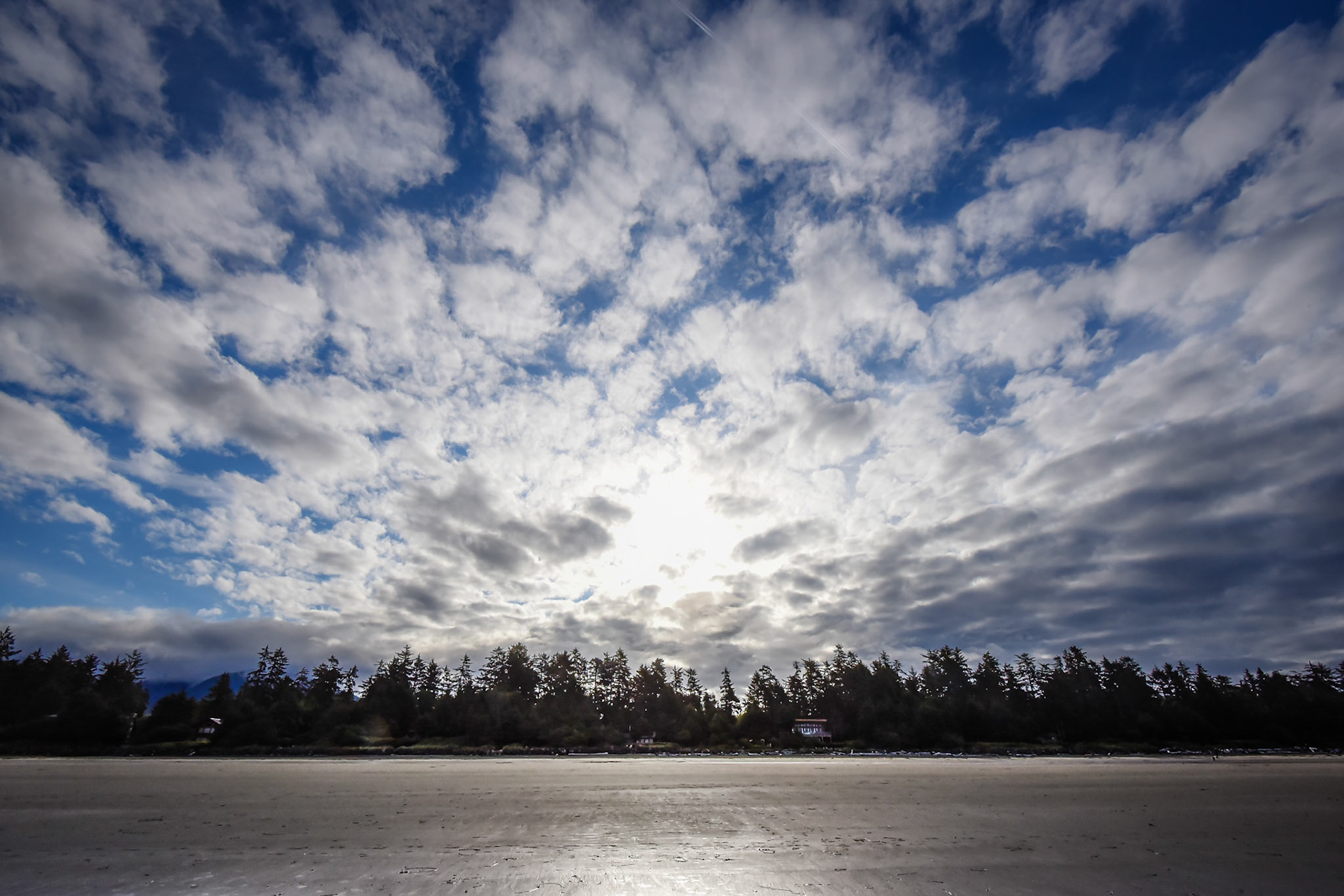 Musselman Beach, Tofino, B.C.