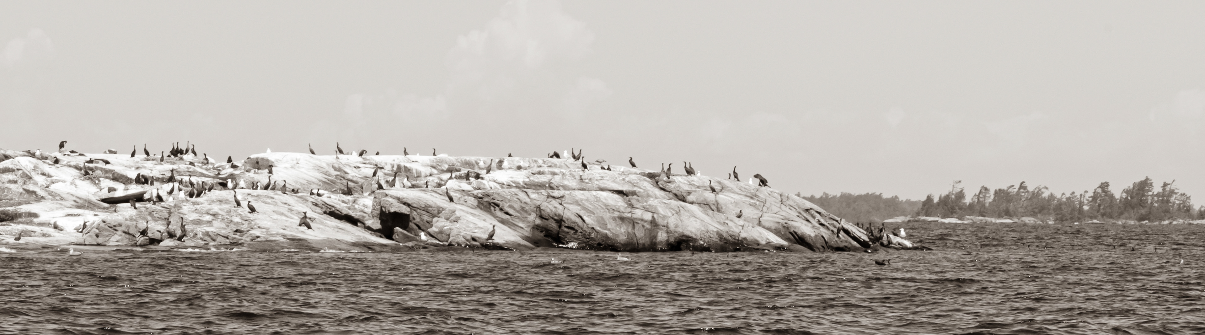 Party on the Rocks, Georgian Bay, Ont