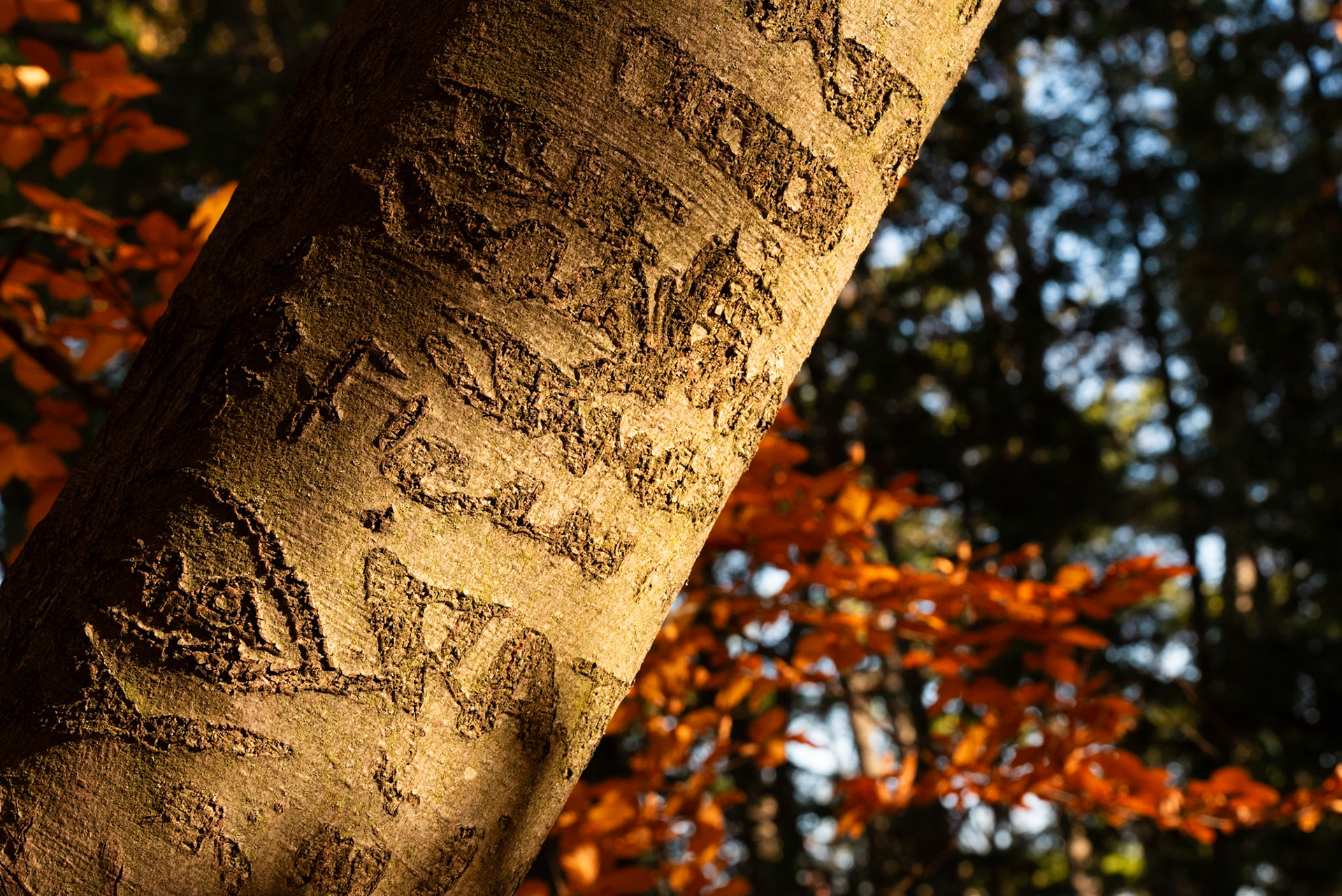 Engravings of Forever Love