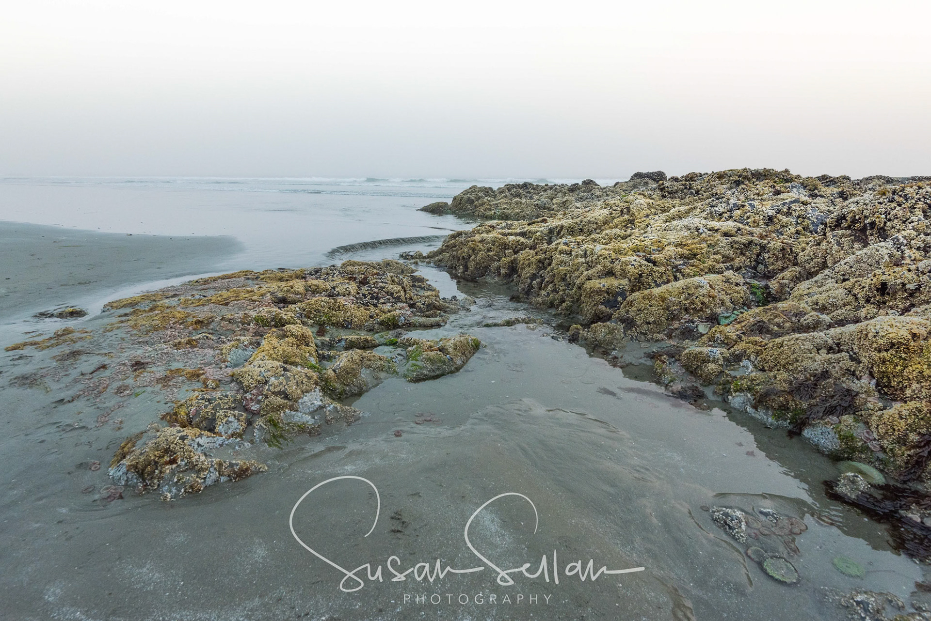 Musselman's Beach, Tofino, B.C.