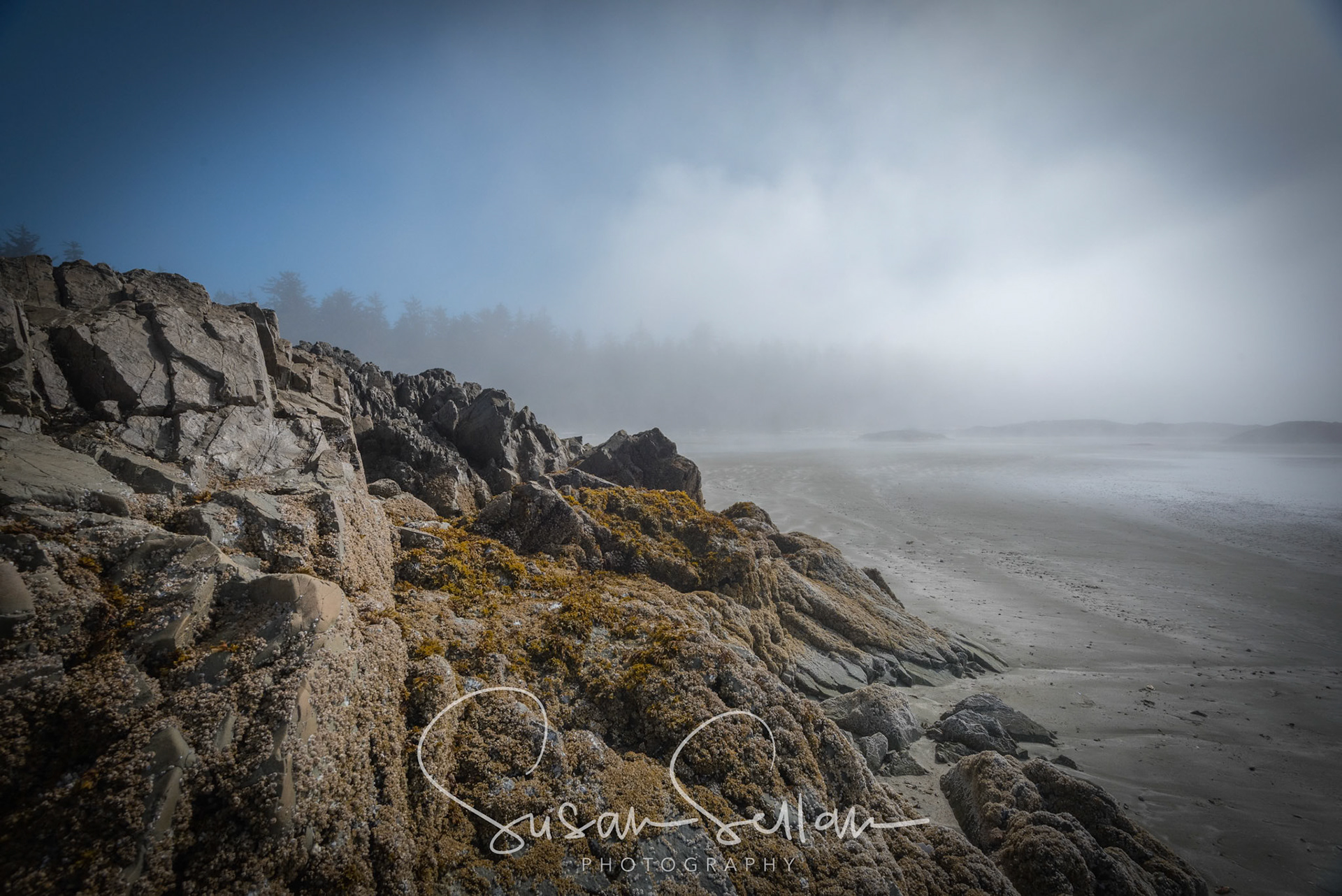 Musselman's Beach, Tofino, B.C.