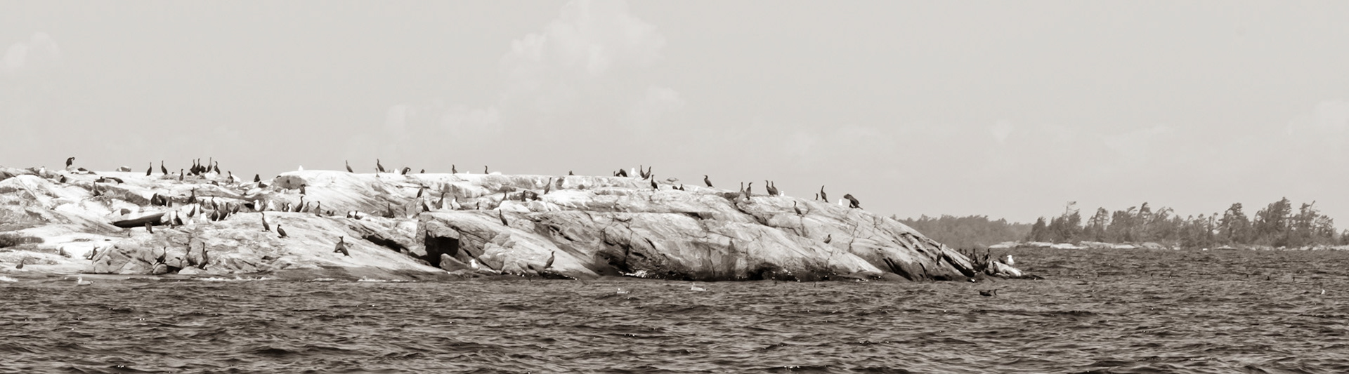 Party on the Rocks, Georgian Bay, Ontario