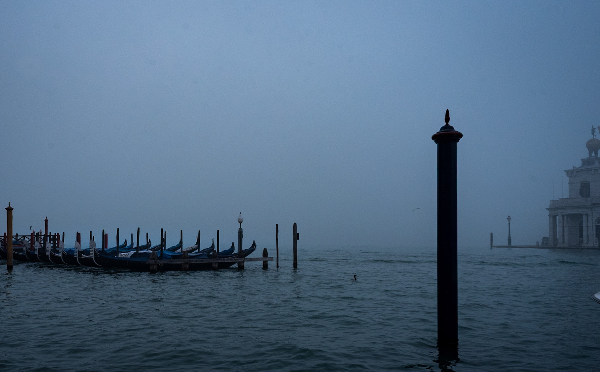 Low fog in Venice