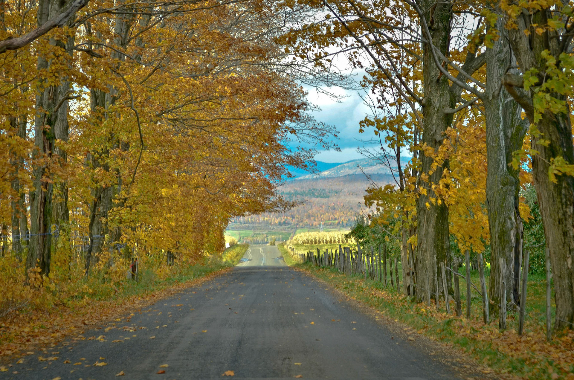 Country roads, Quebec City