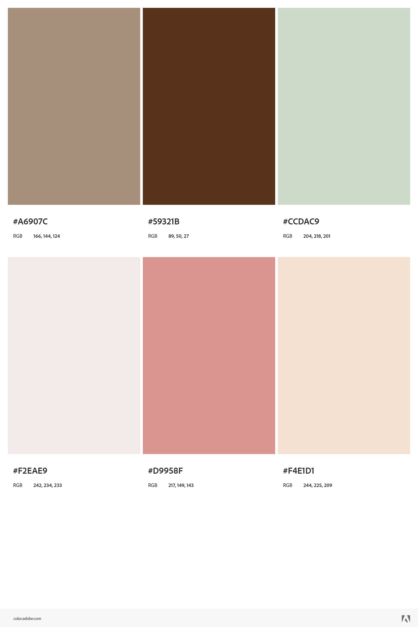 Paleta de Cores
