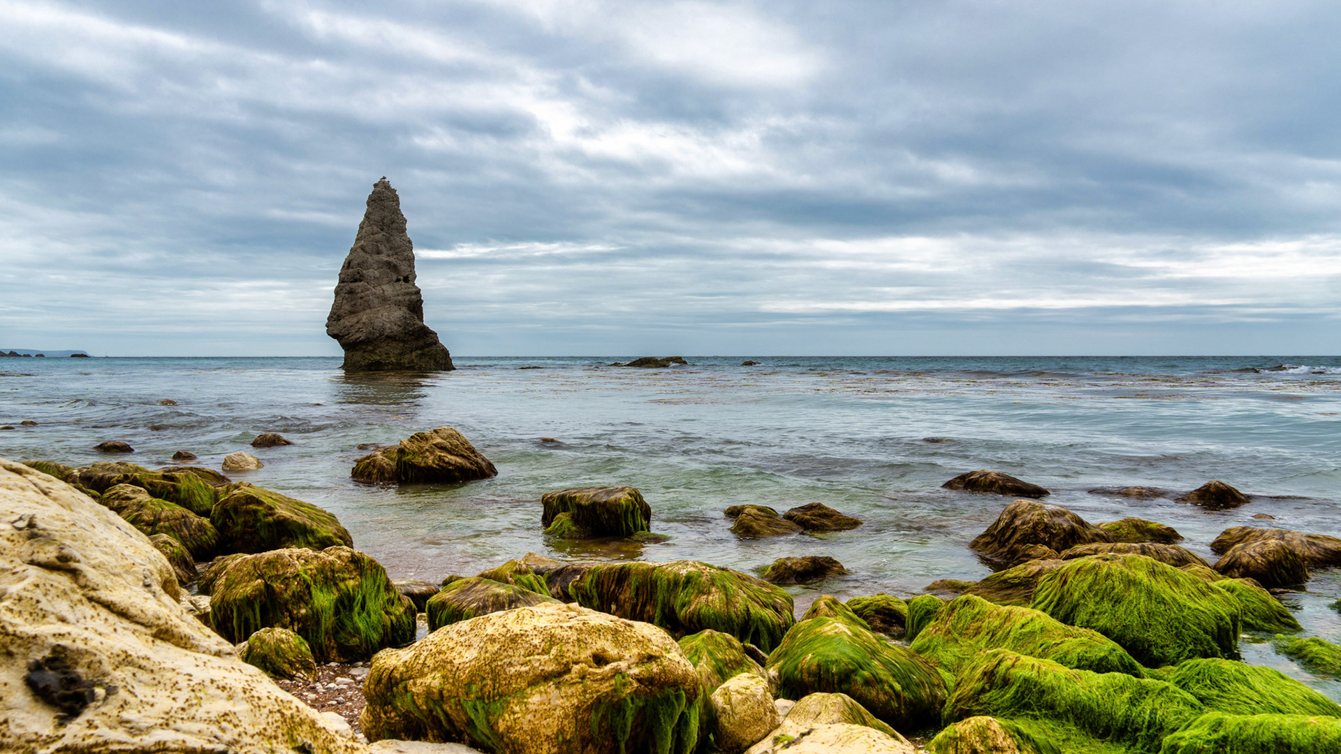A dramatic sea stack rises from the calm waters, surrounded by moss-covered rocks under a moody coastal sky.