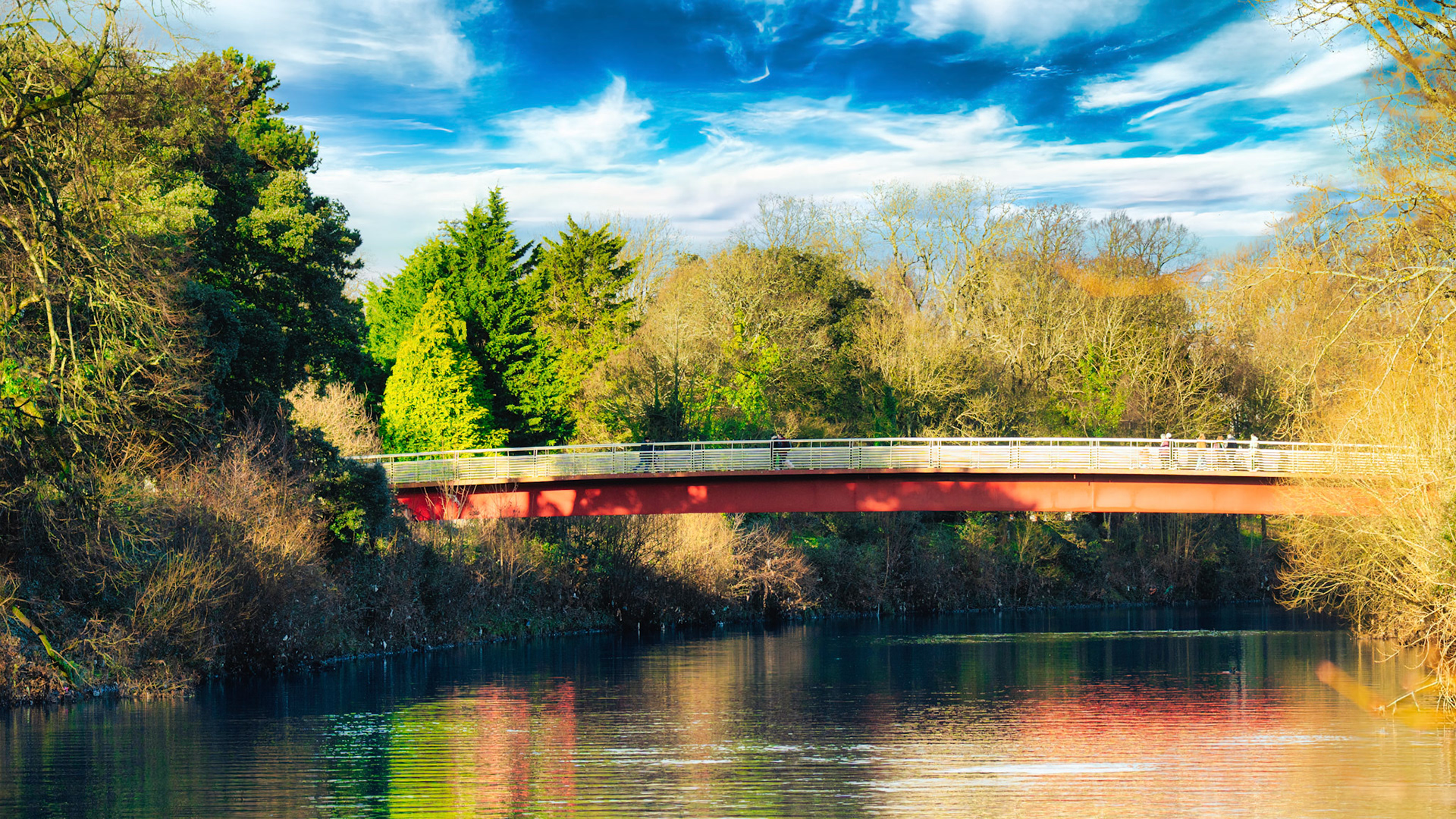 Serenity meets structure — a red footbridge stretches across still waters, framed by winter’s bare branches and evergreens, under a sky brushed with clouds.