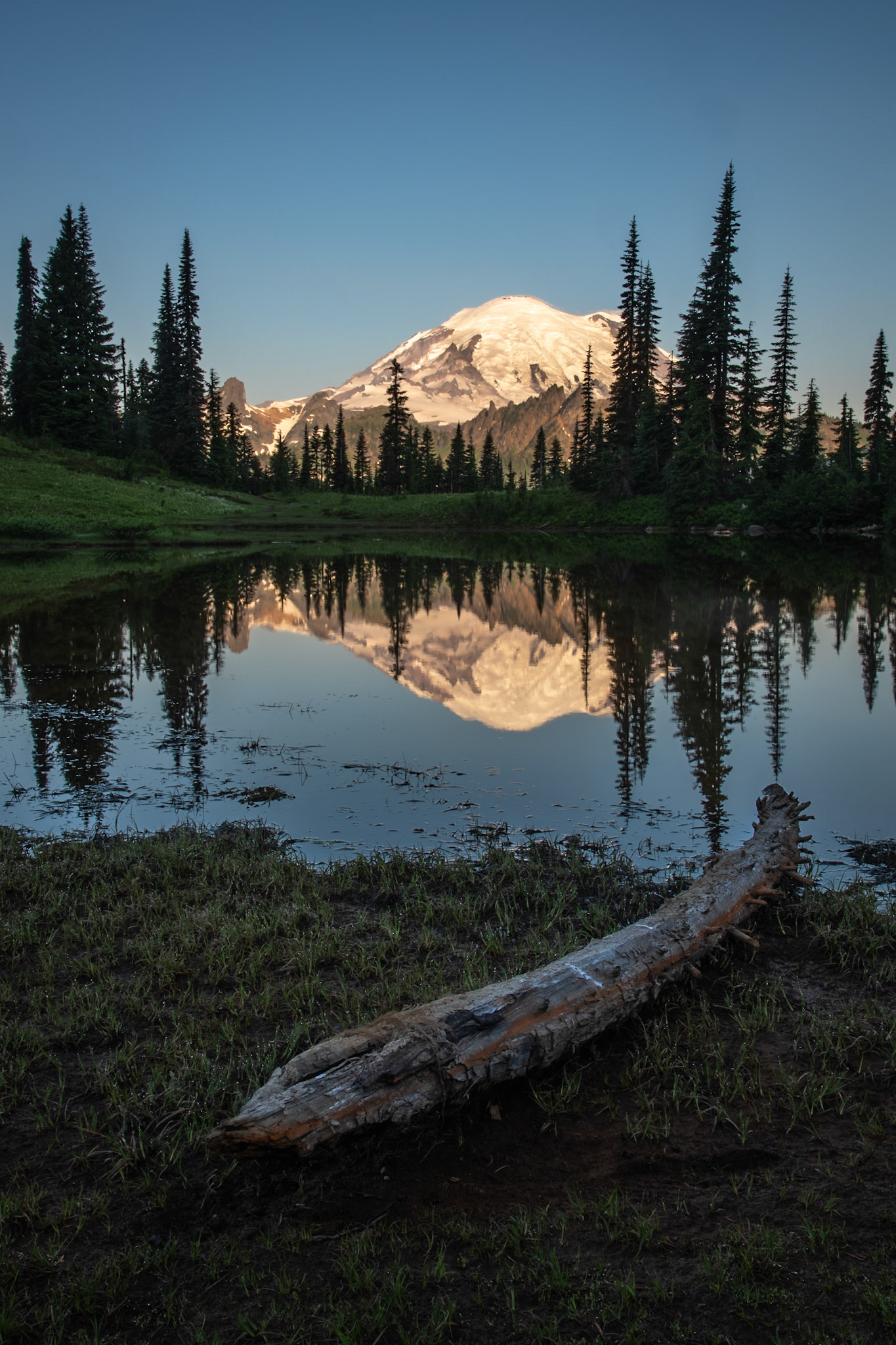 Mt. Rainier NP