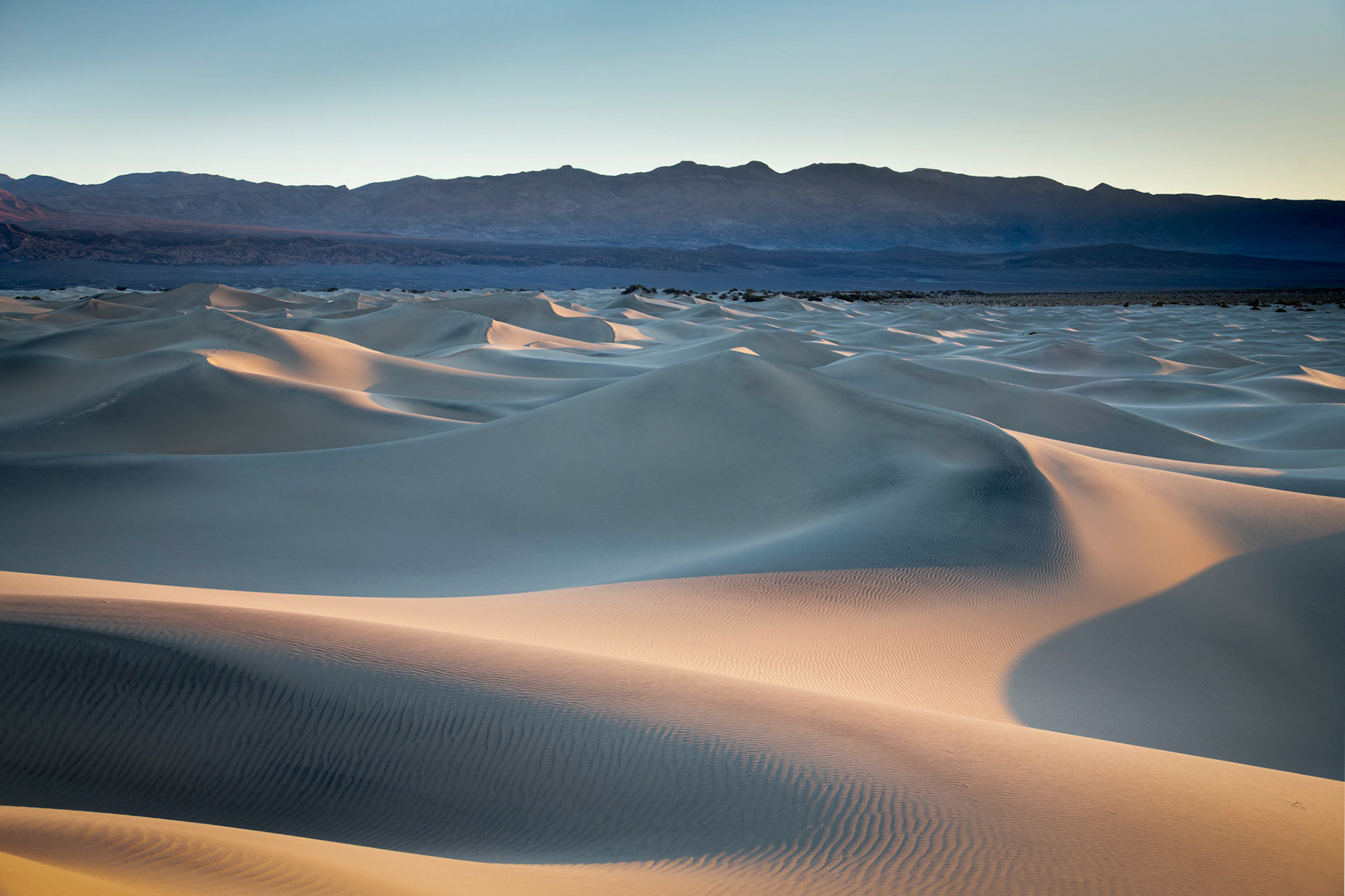 Mesquite Dunes