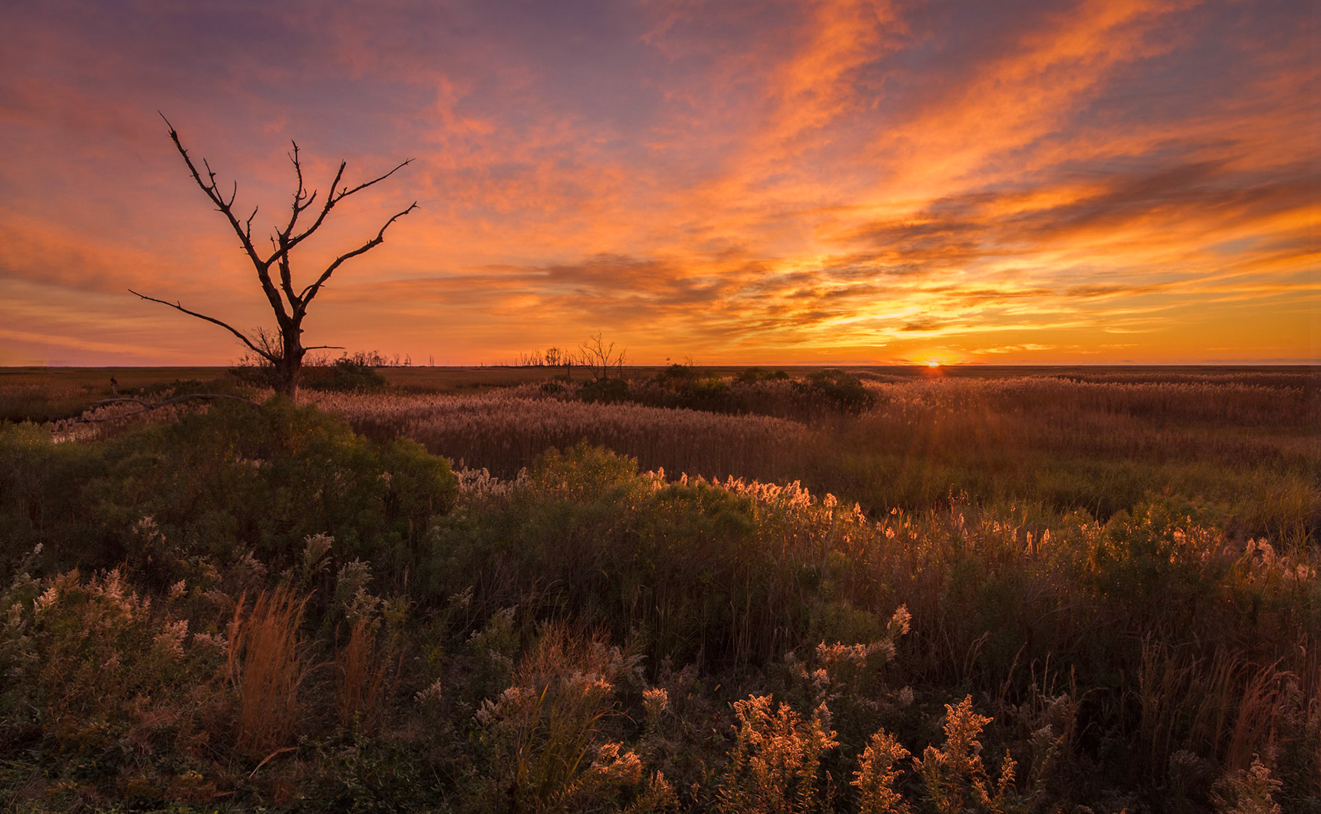 Bombay Hook, NWR