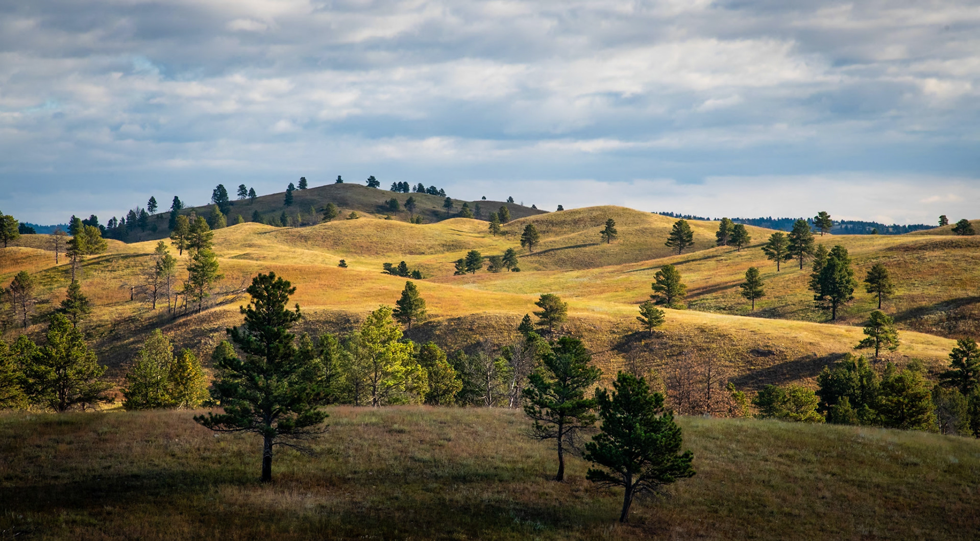 Custer State Park