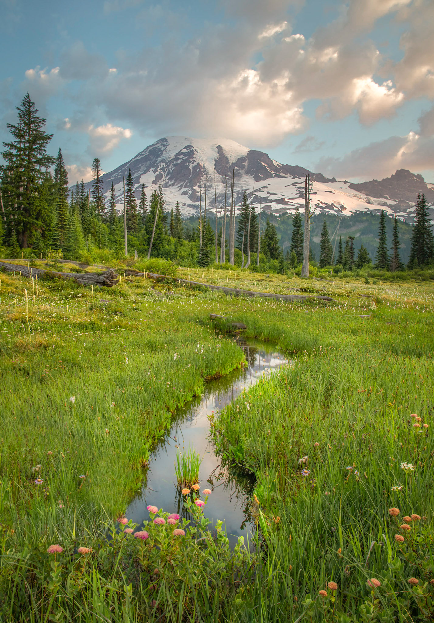 Mt. Rainier NP