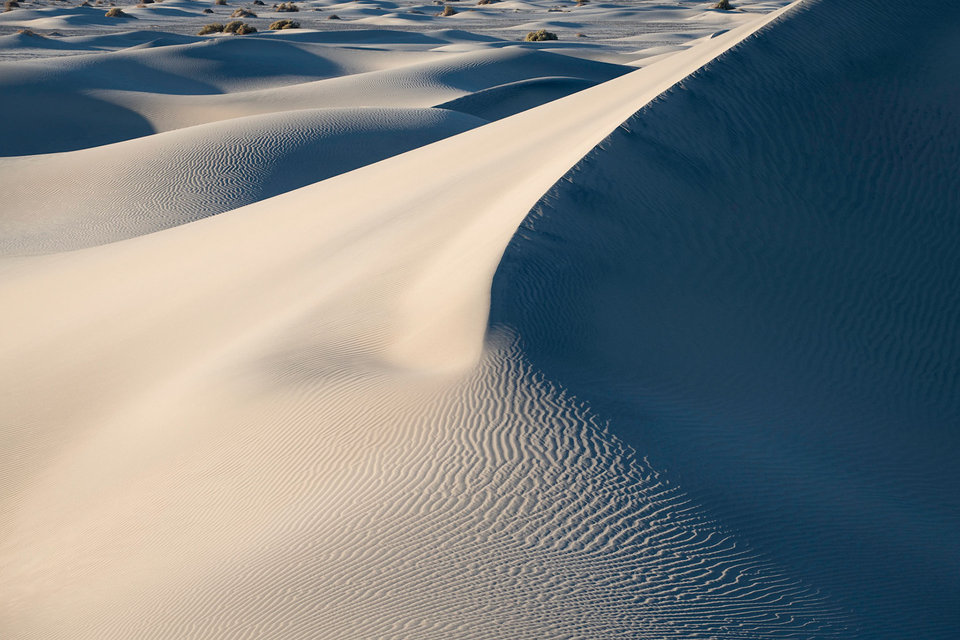 Mesquite Dunes