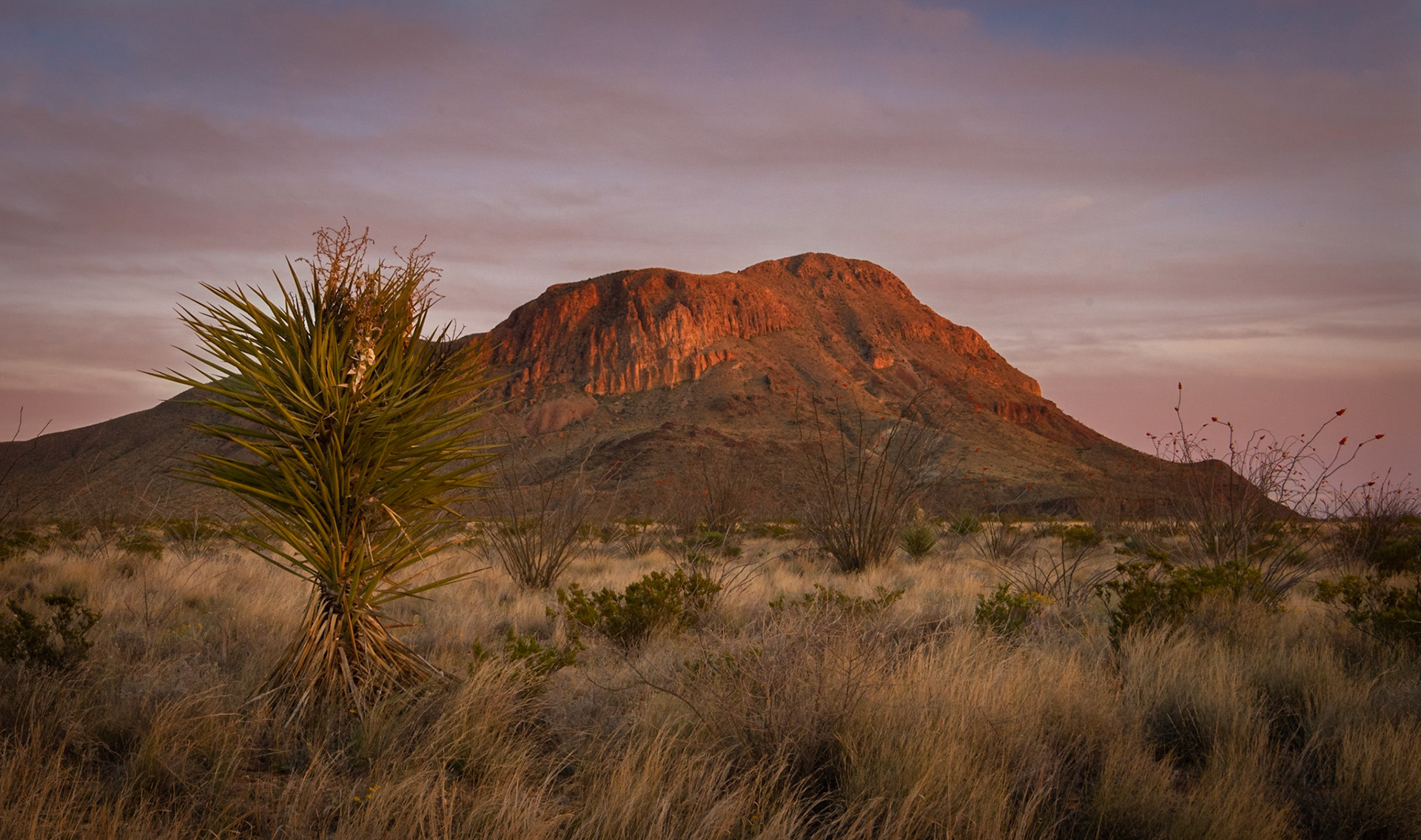 Big Bend NP