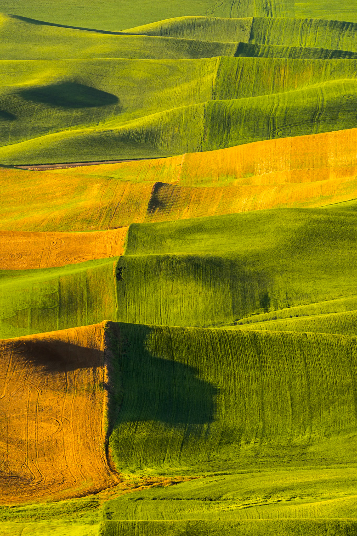 Palouse, Eastern Washington
