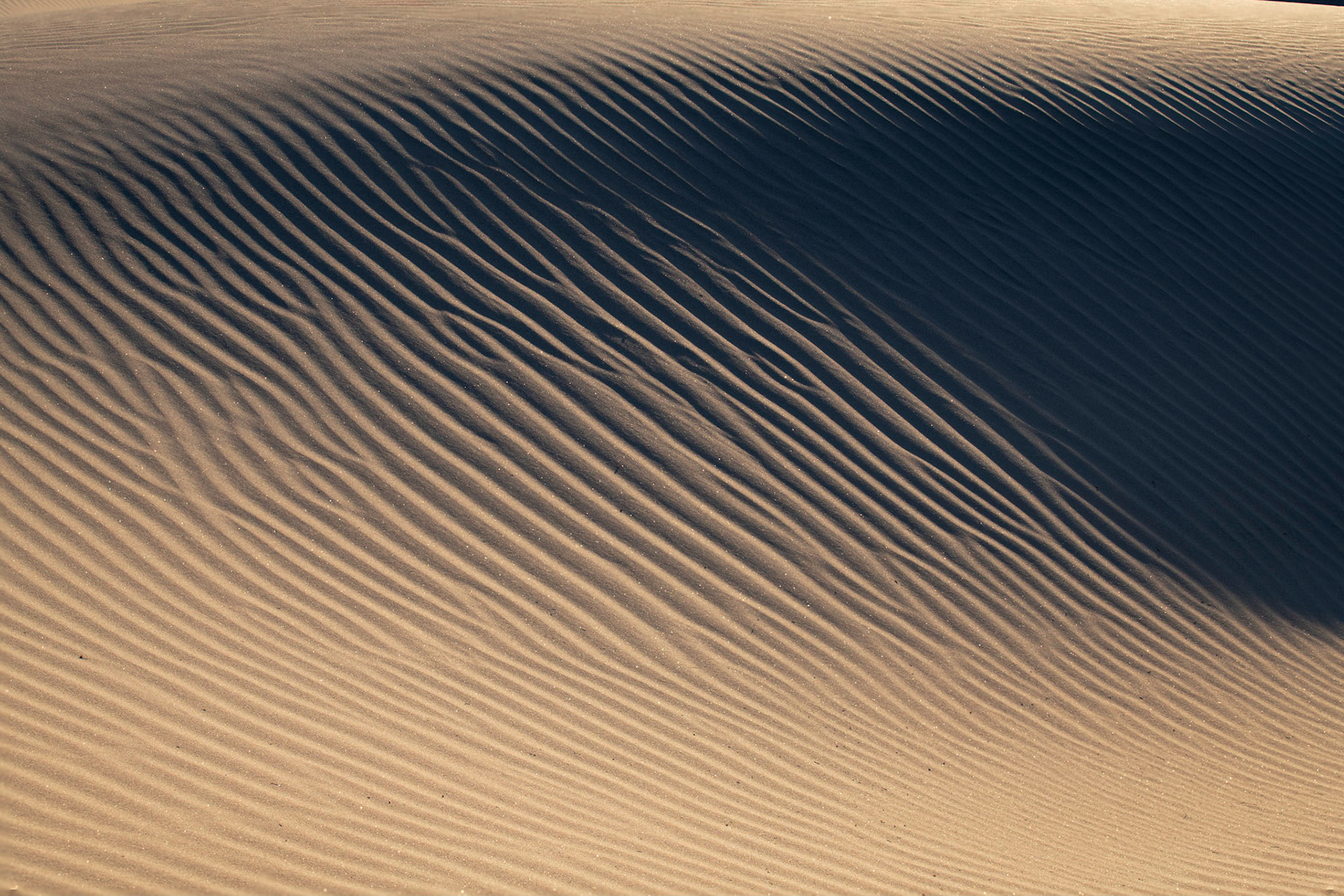 Mesquite Dunes