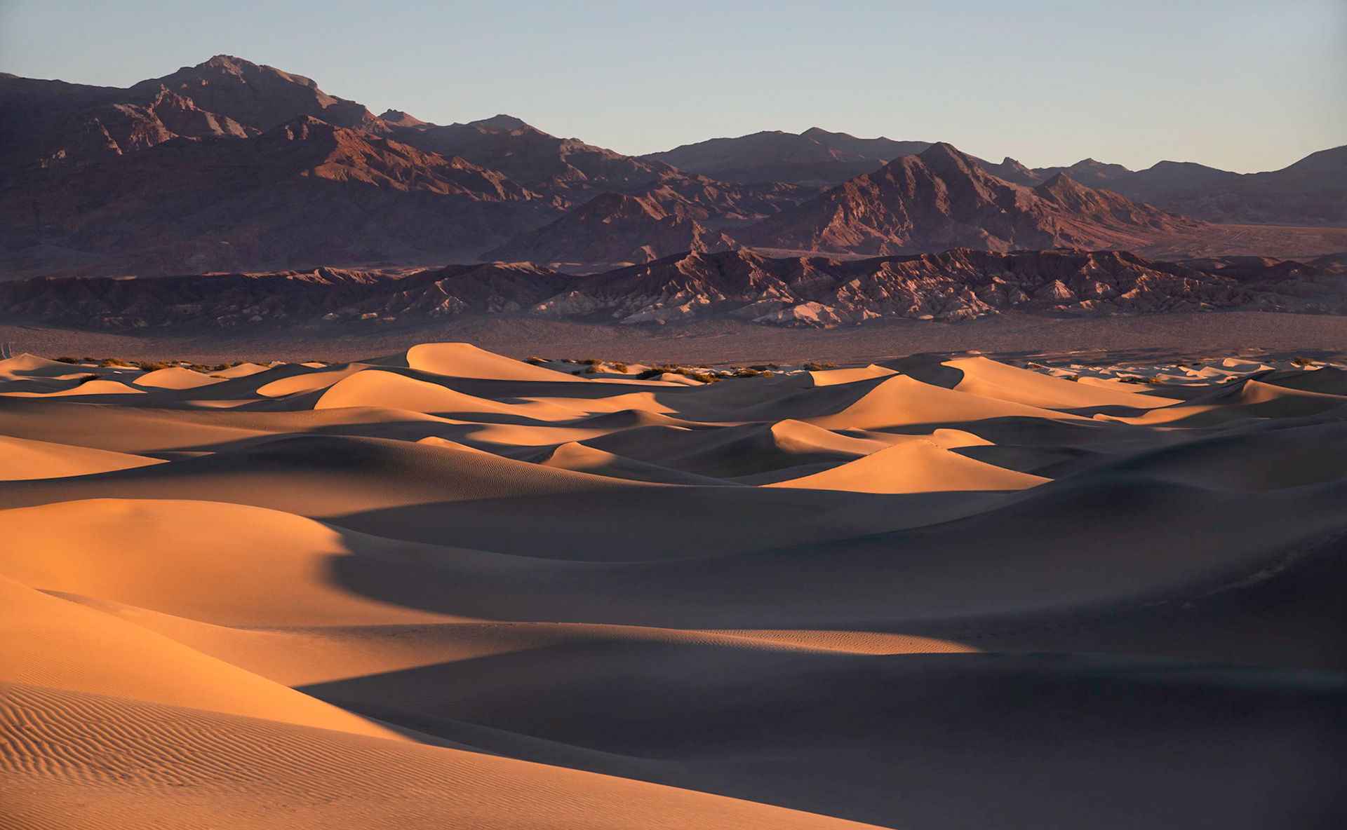 Mesquite Dunes
