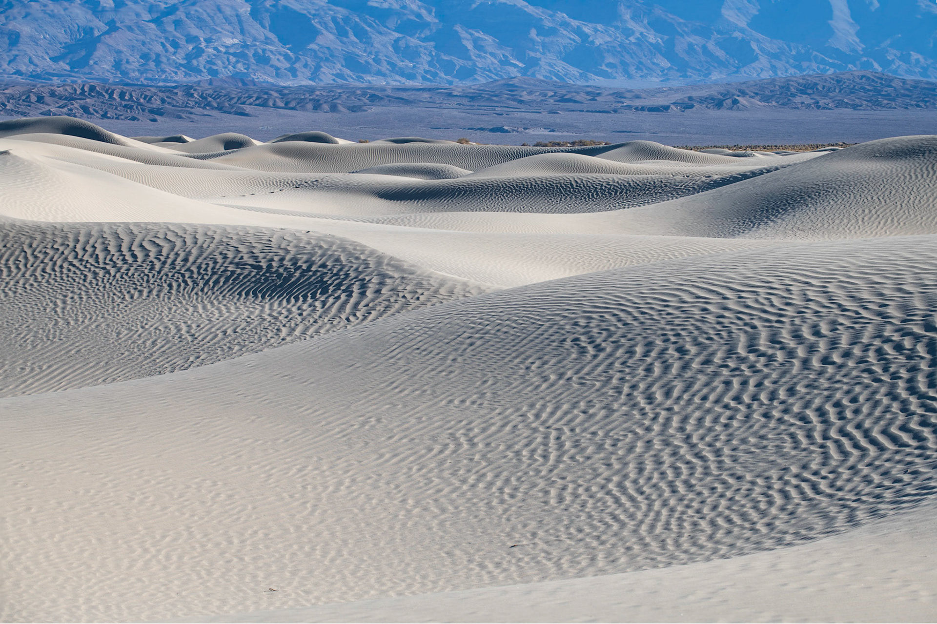 Mesquite Dunes