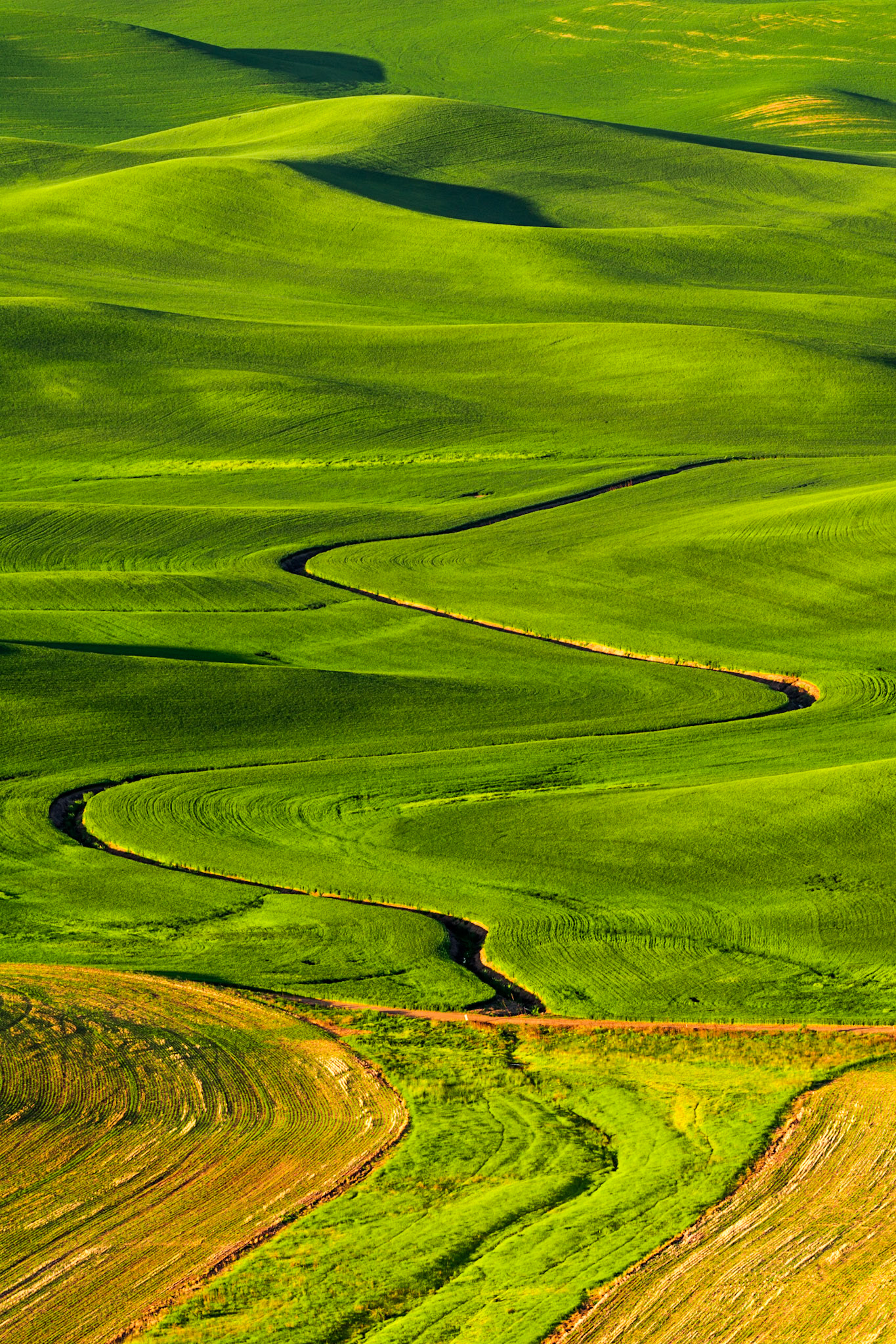 Palouse, Eastern Washington