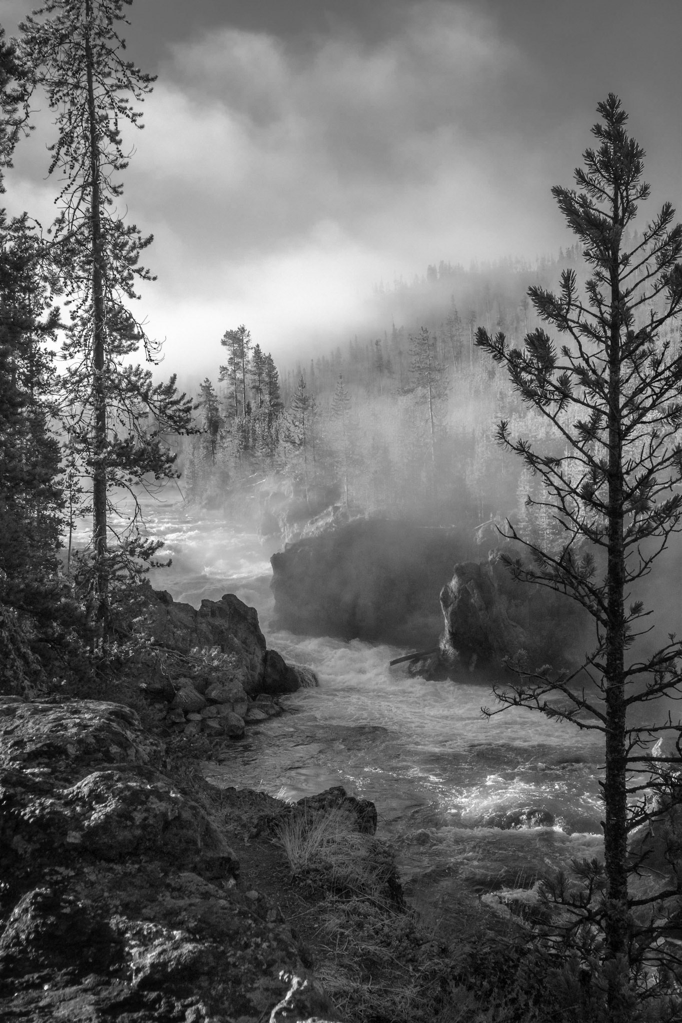Firehole River, Yellowstone NP