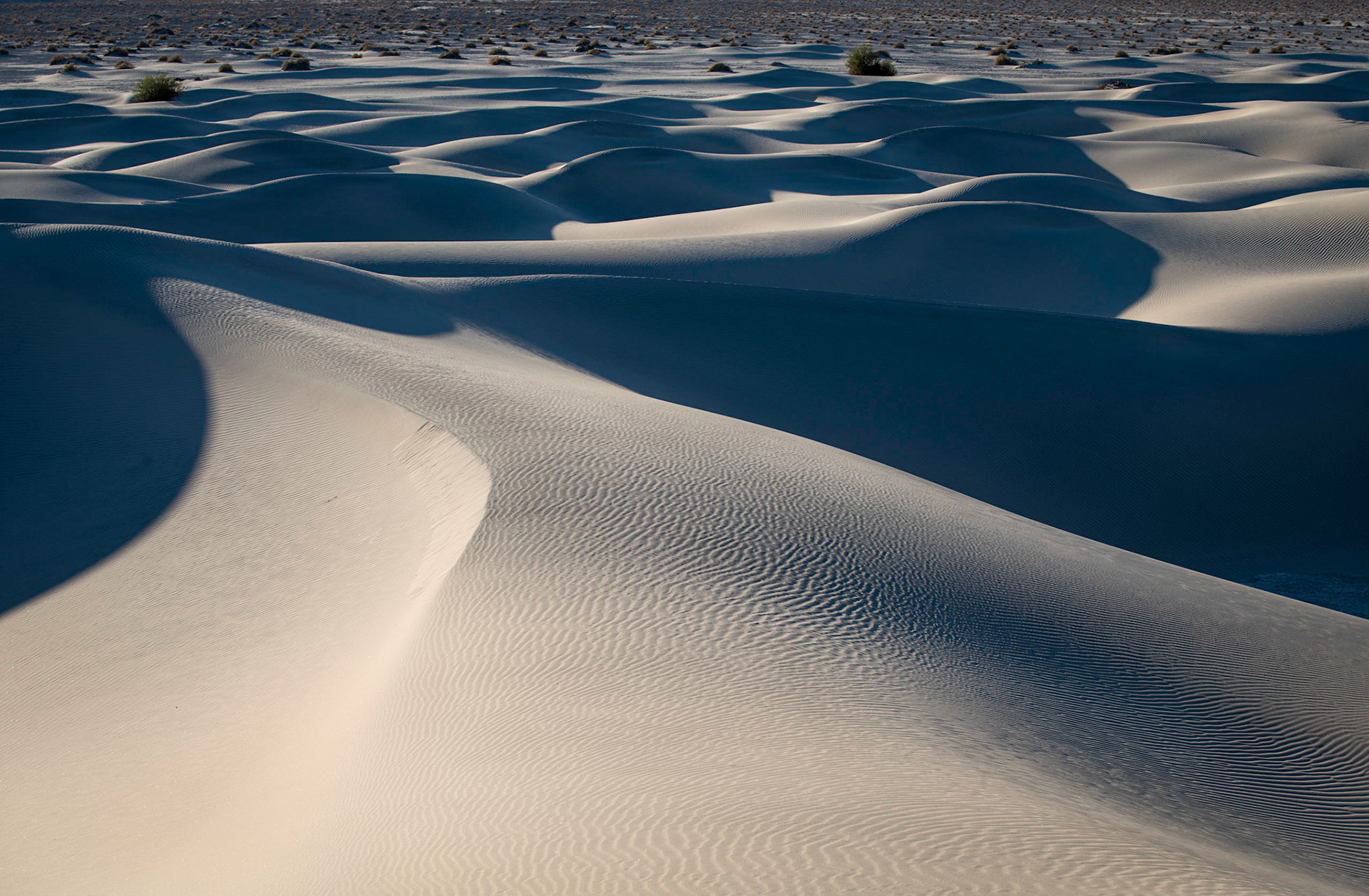 Mesquite Dunes
