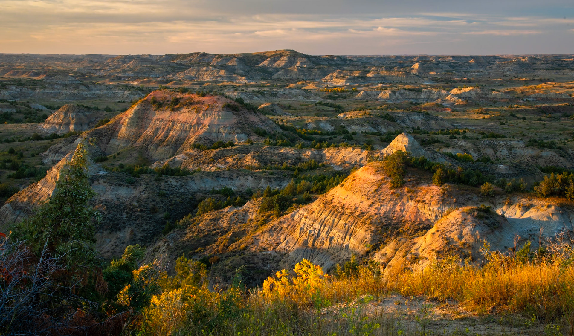 Theodore Roosevelt NP