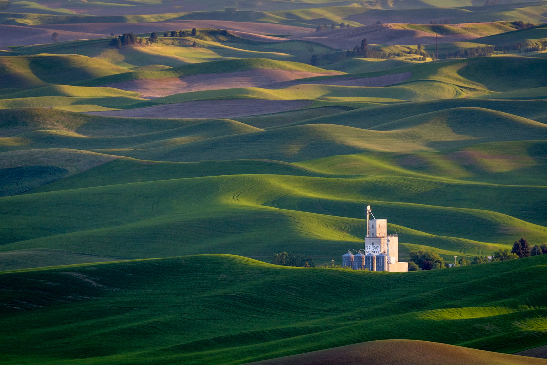 Palouse, Eastern Washington