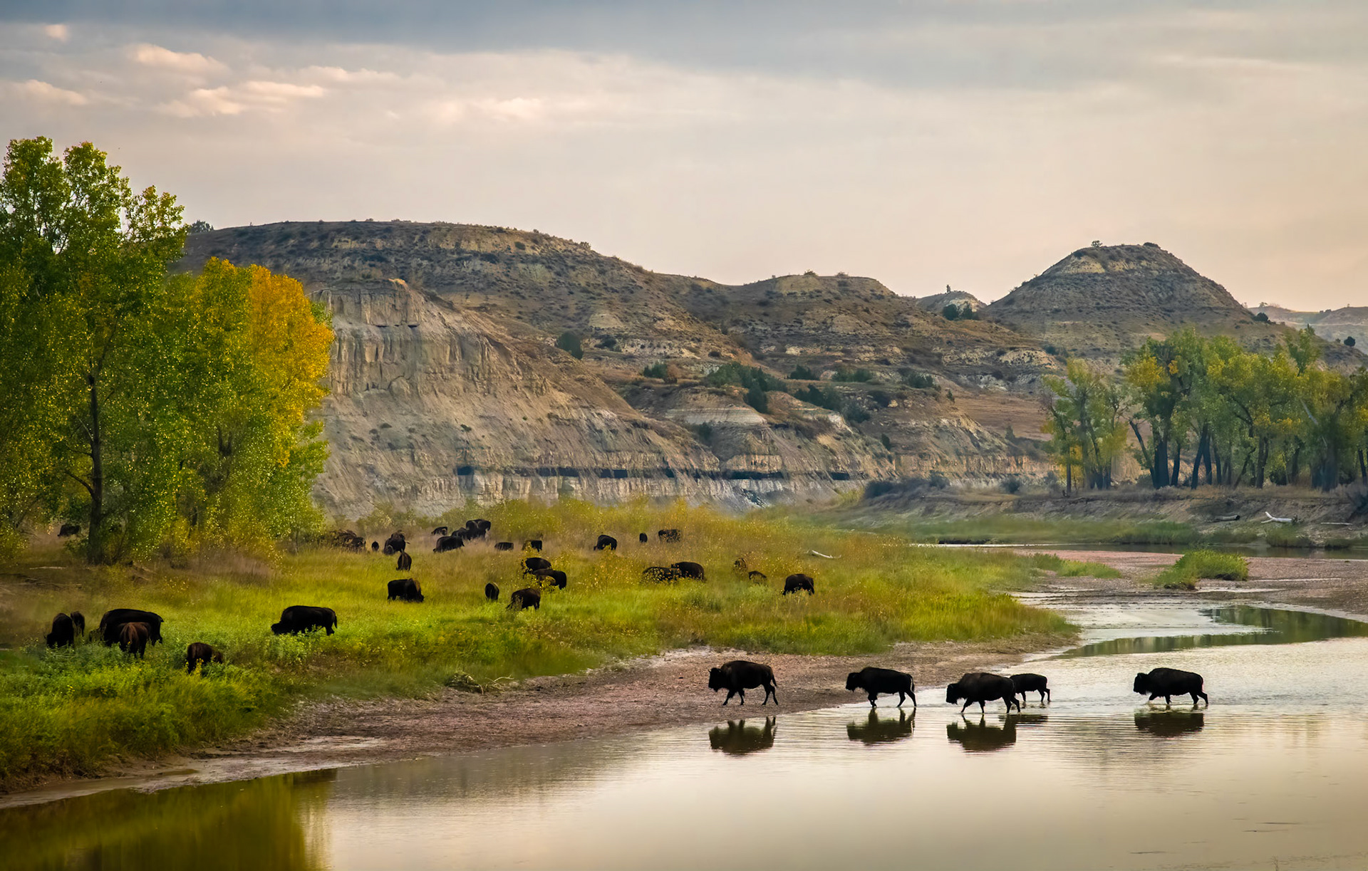 Theodore Roosevelt NP