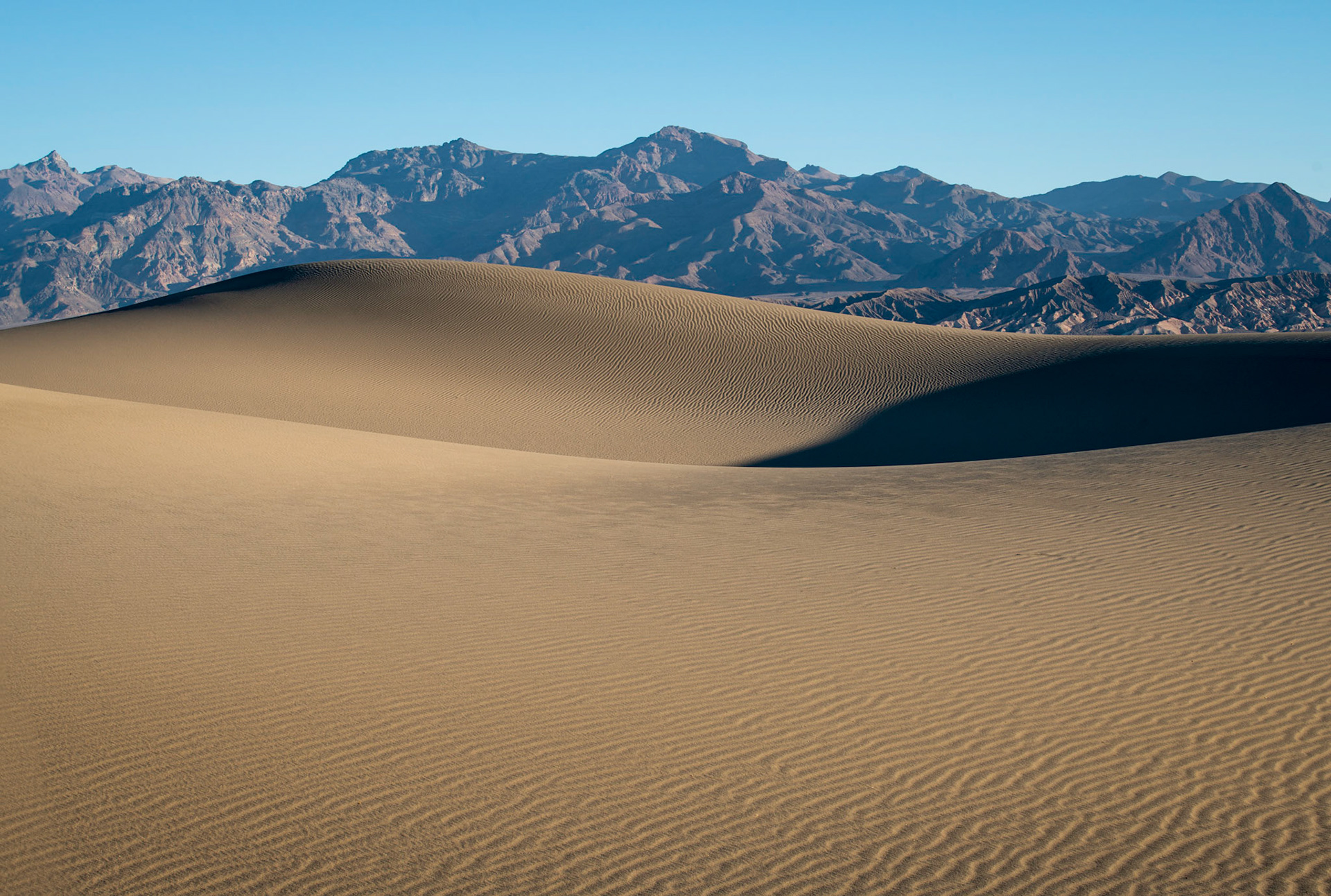 Mesquite Dunes