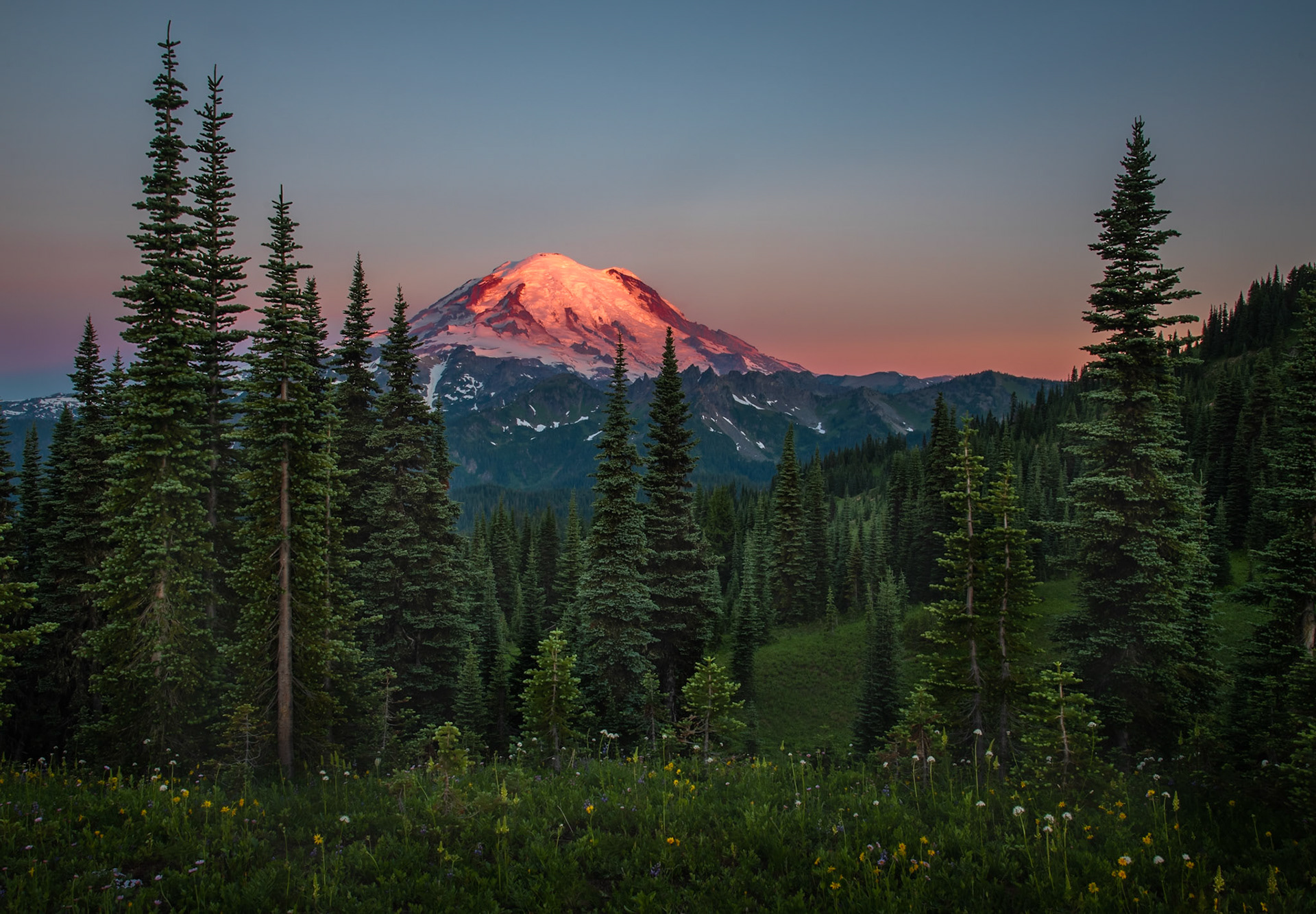 Mt. Rainier NP