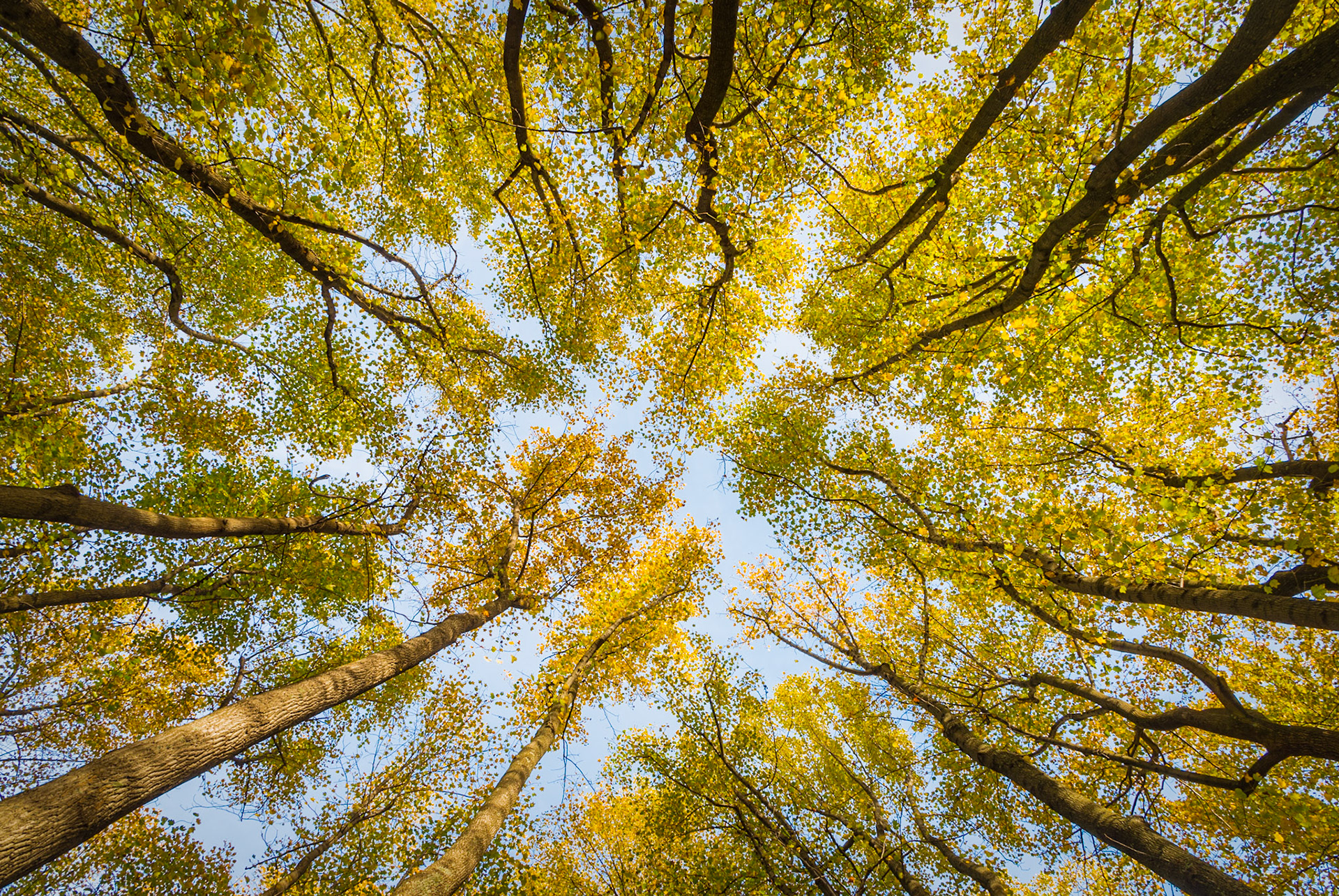 Shenandoah National Park