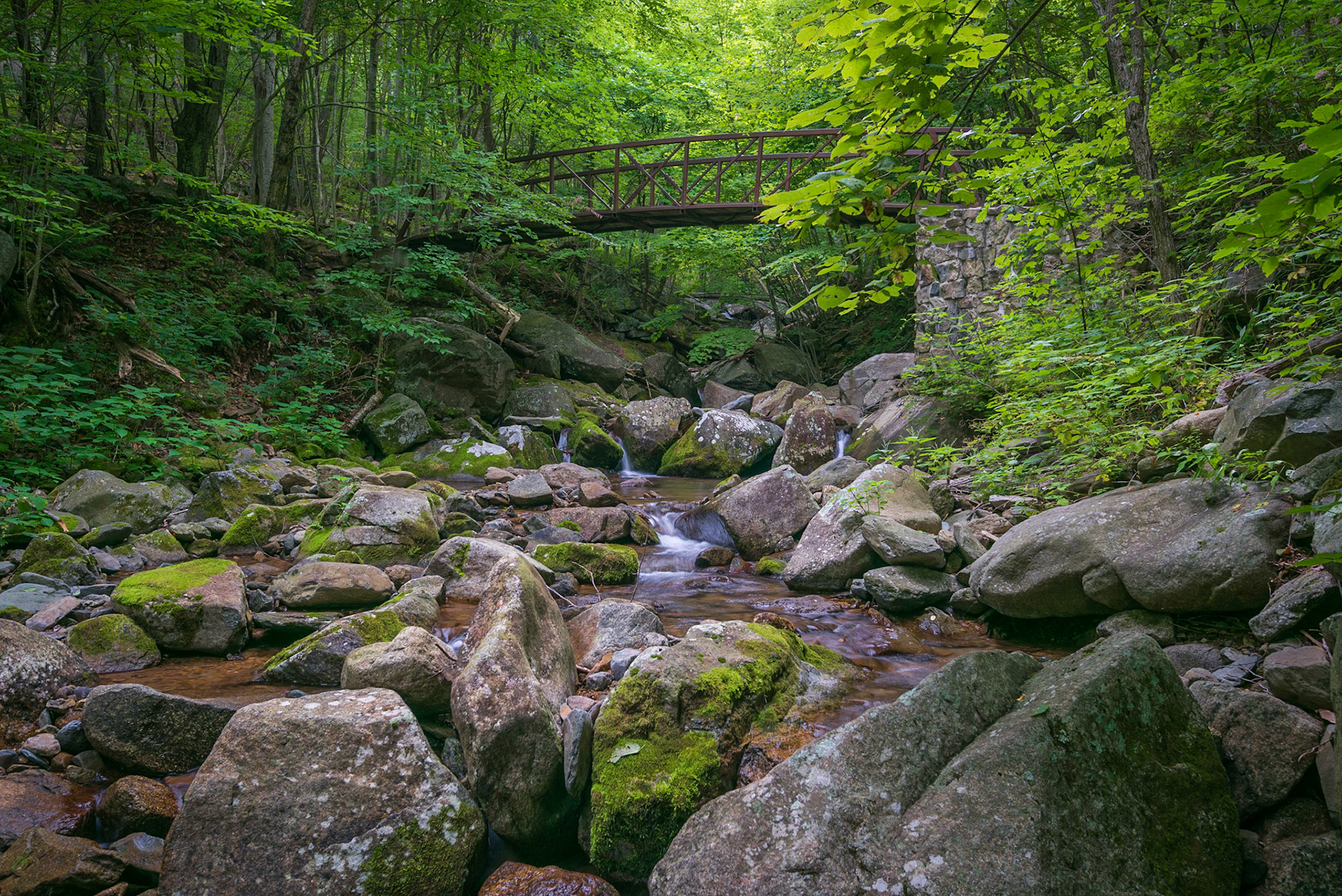 Shenandoah National Park