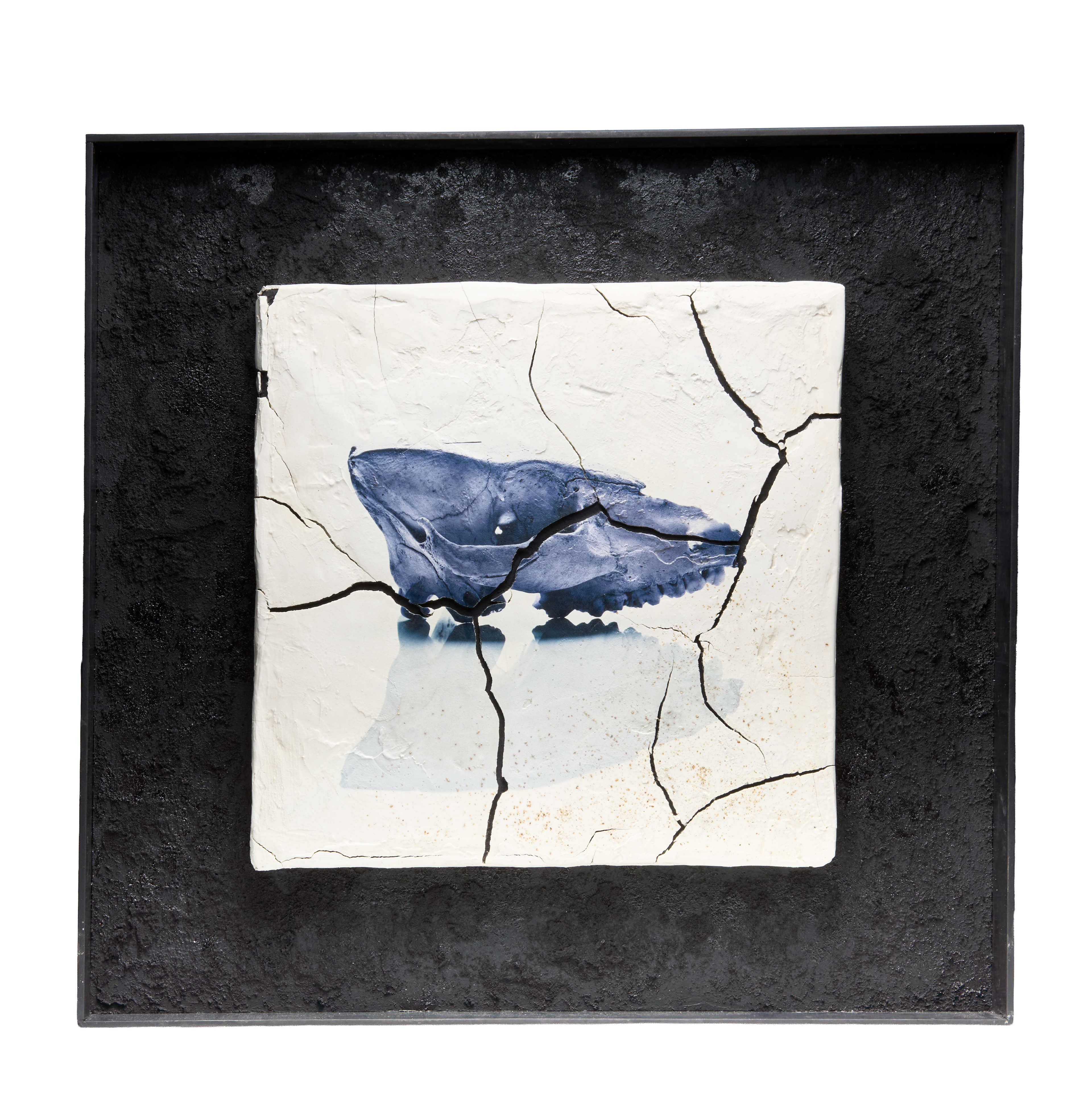 Bone＃005	2025	H51.5 × W38 × D5cm　	"Charcoal, Bone, Lime plaster, Iron,  UV print, Acrylic"