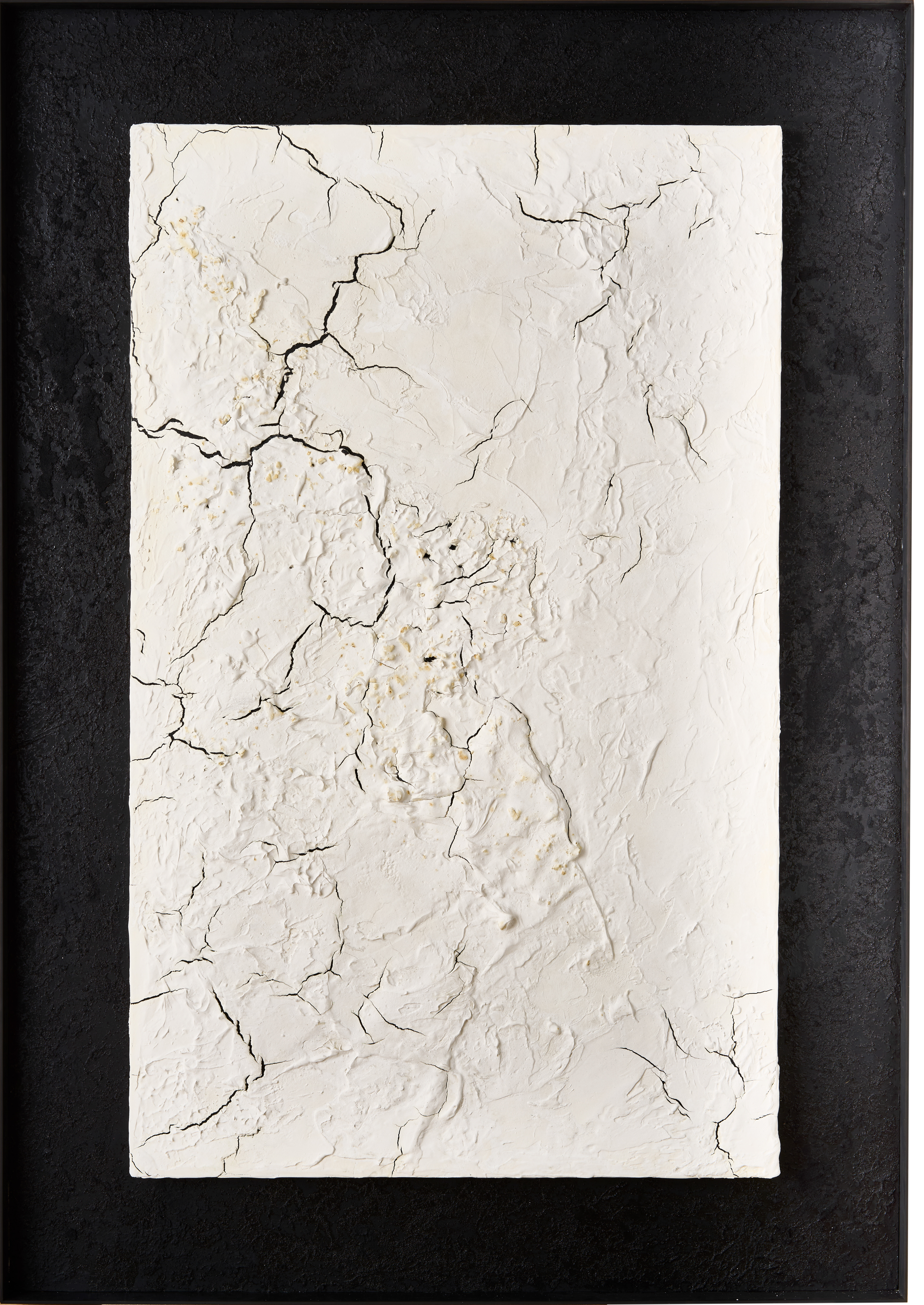 Bone＃006	2025	H161.5 × W113 × D5cm	"Charcoal, Lime plaster, Iron, Bone,  Deer glue, Acrylic"