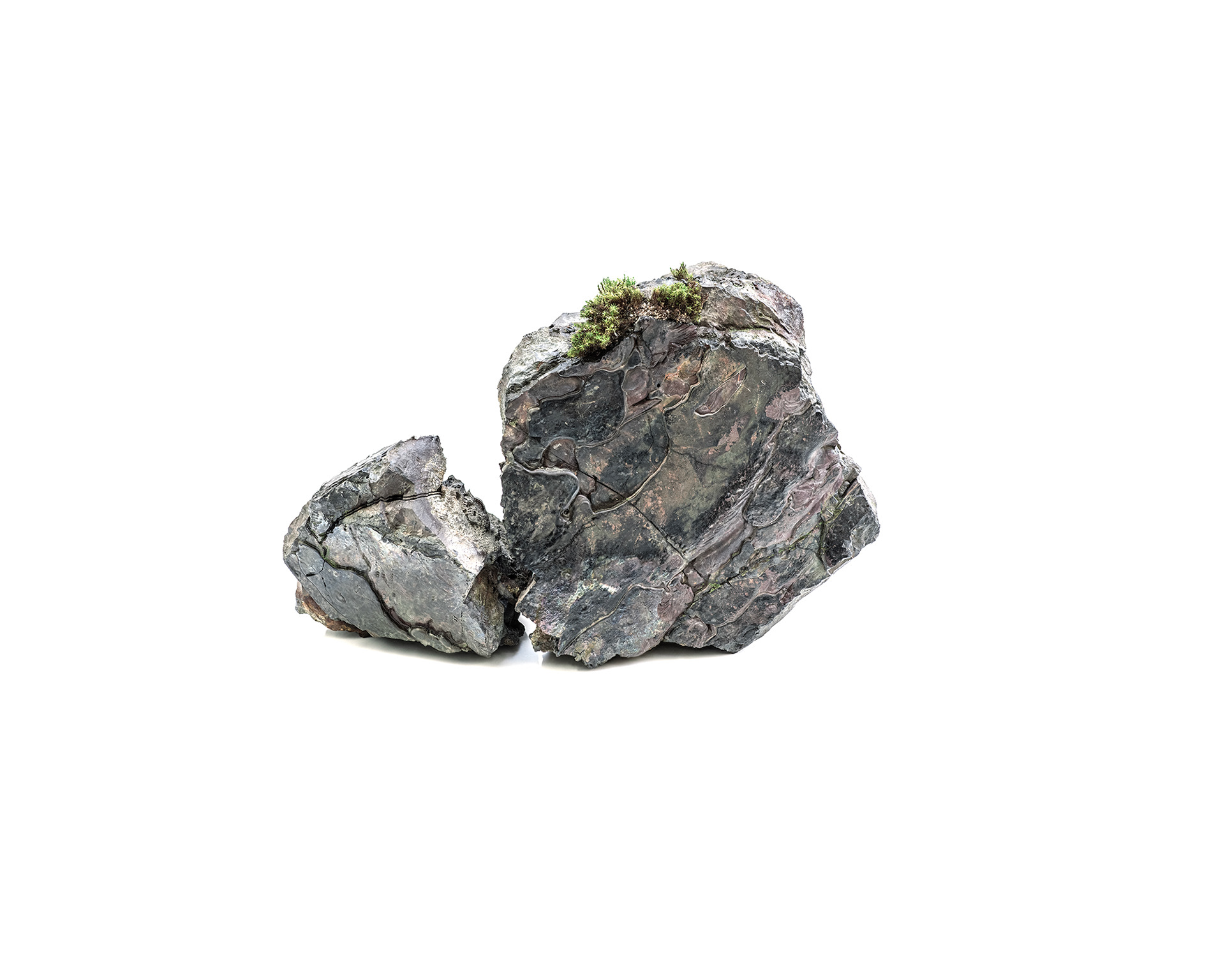 Stone #002, 2023 , W180 ×D160 ×H220mm , Kaarami, UVink print, Driftwood, soil, moss, Unique