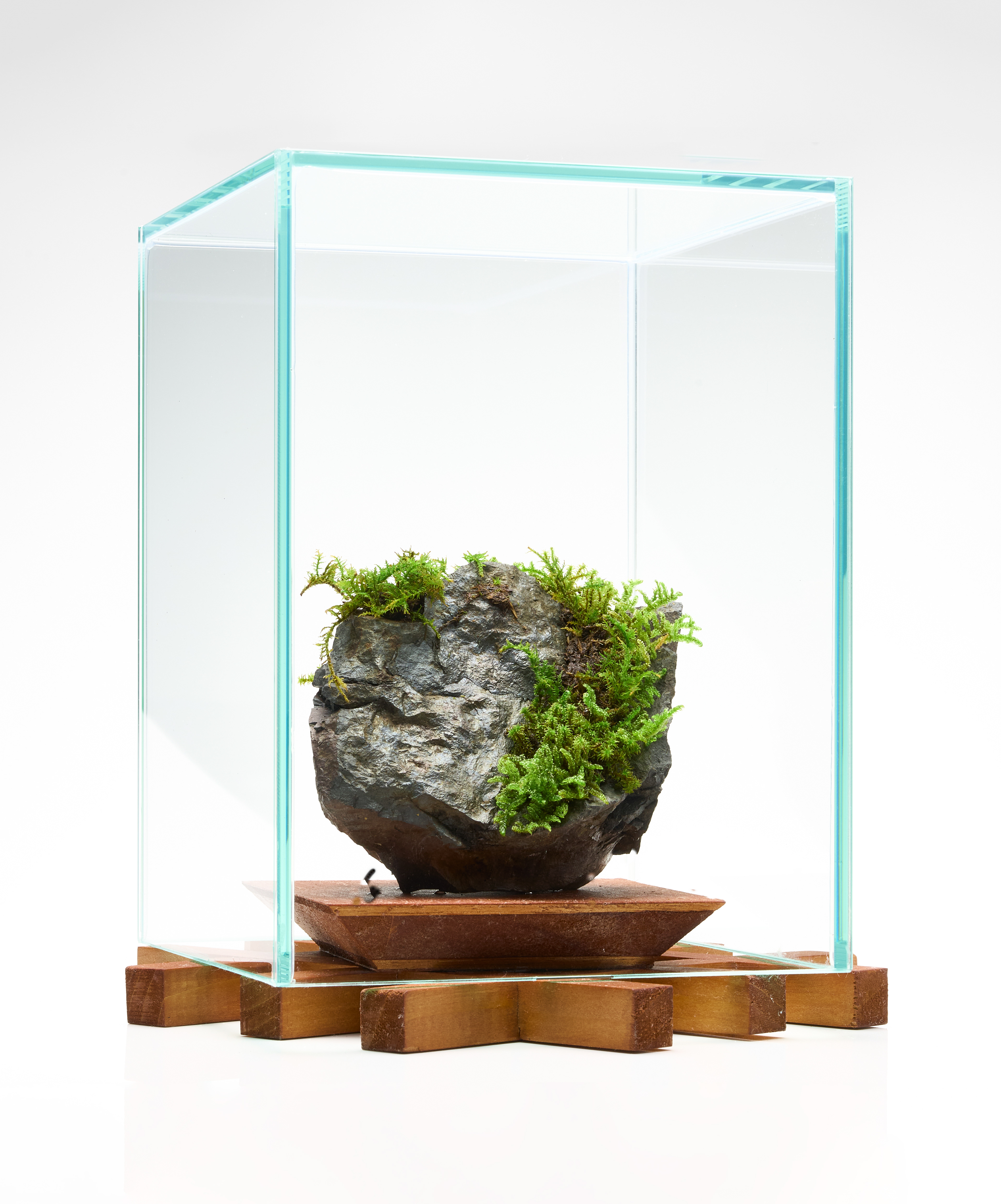 Stone #003	2025	H22 × W18 × D18cm	Wood, Karami-ishi (slag stone), Moss, Glass, Kakishibu (persimmon tannin)