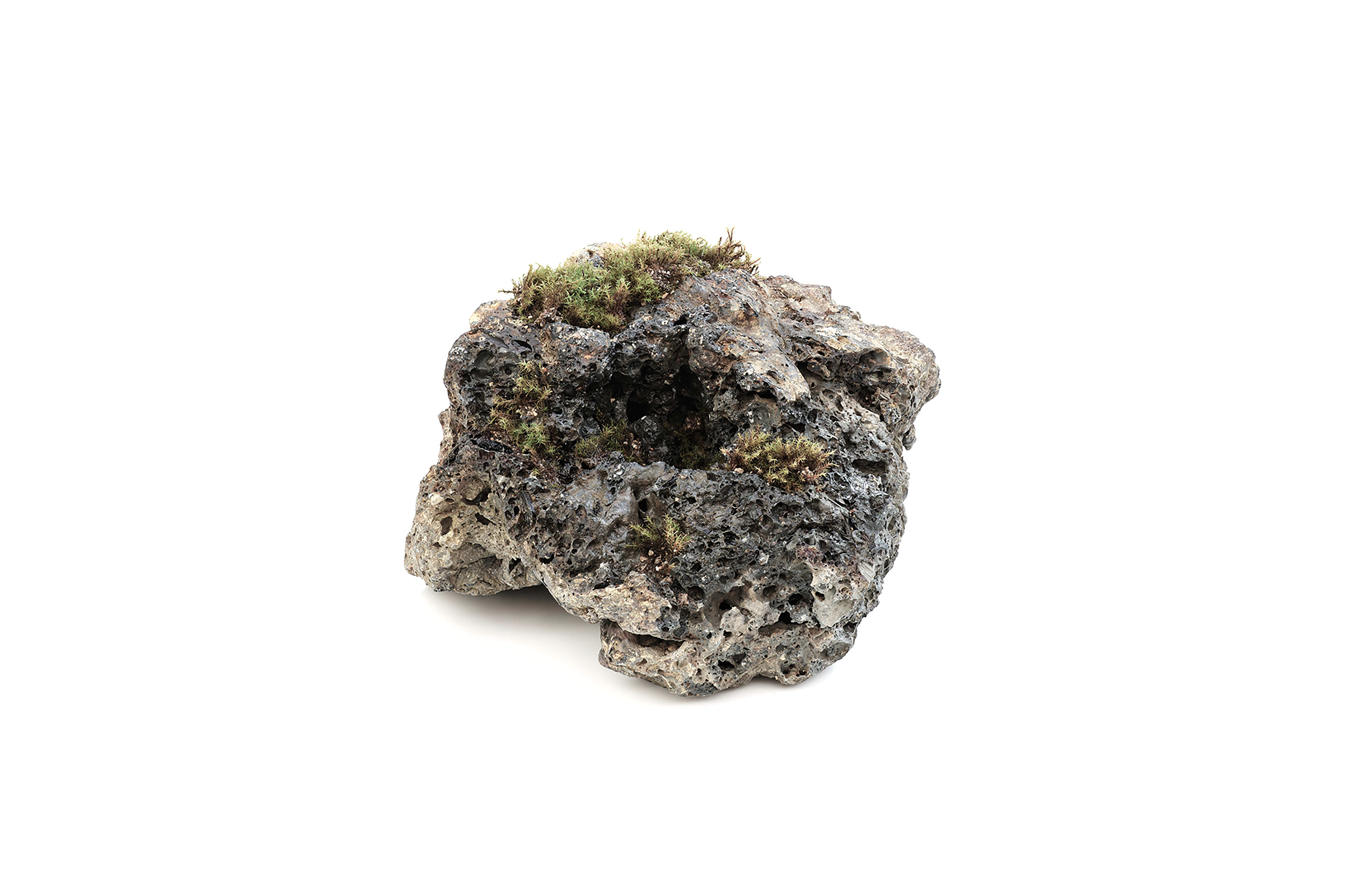 Stone #001, 2023 , W170 ×D140 ×H120mm , Kaarami, UVink print, Driftwood, soil, moss, Unique