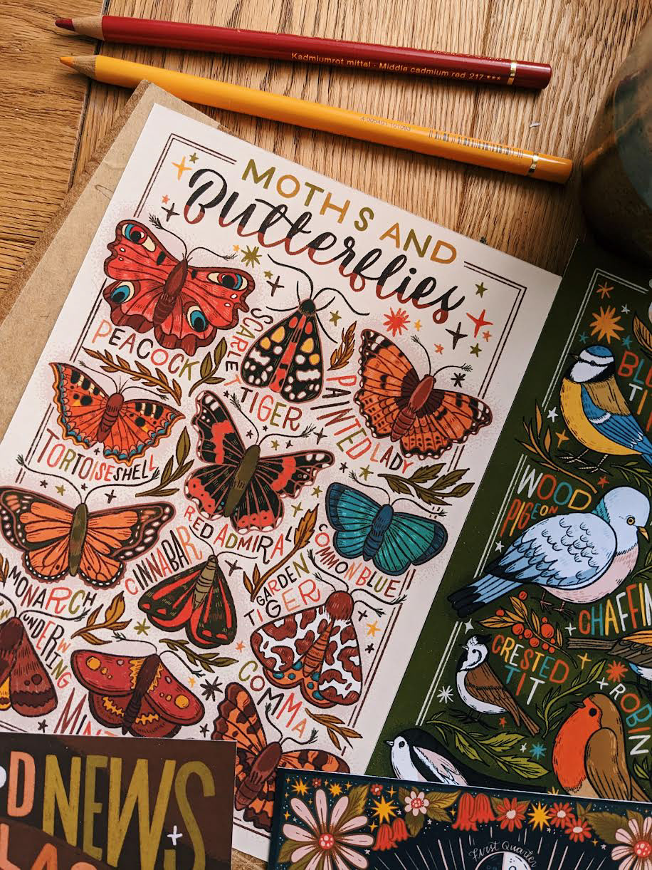 the image shows a close up selection of highly detailed and brightly coloured nature illustrations including moths, butterflies, garden birds, woodland plants and mushrooms