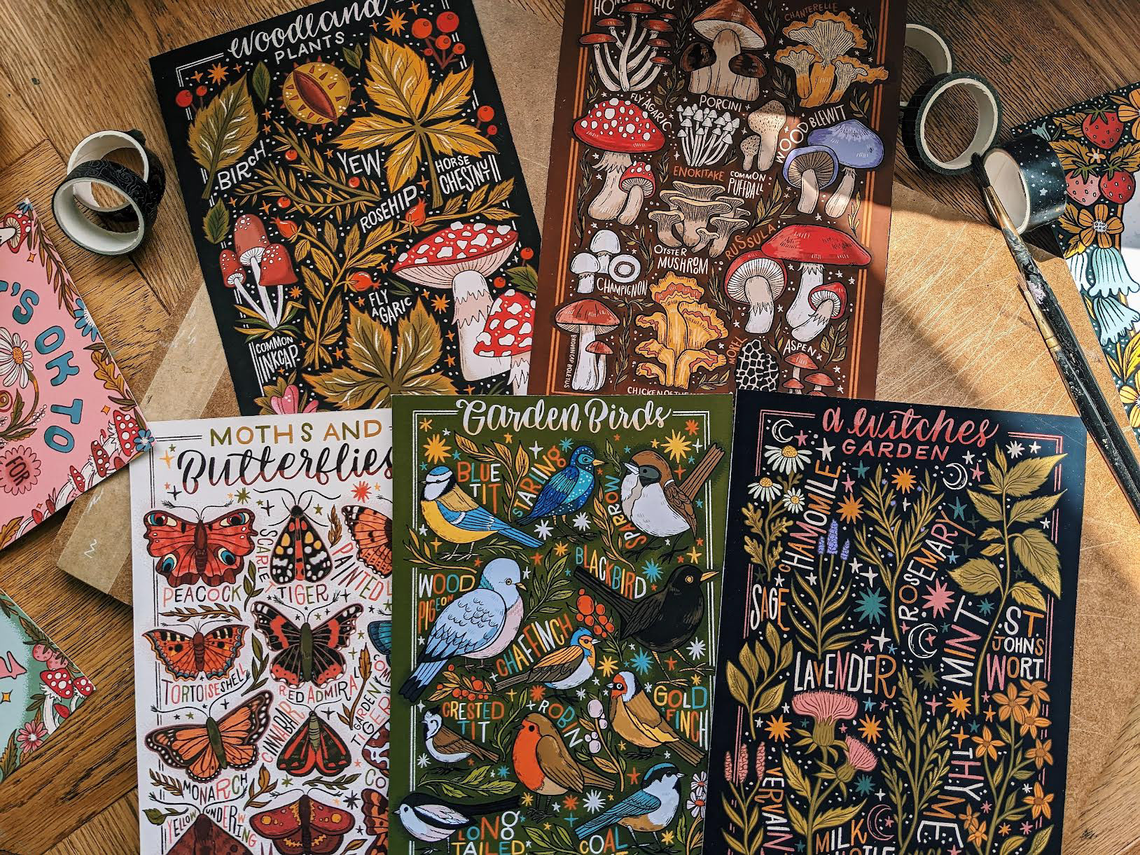 the image shows a selection of highly detailed and brightly coloured nature illustrations including moths, butterflies, garden birds, woodland plants and mushrooms