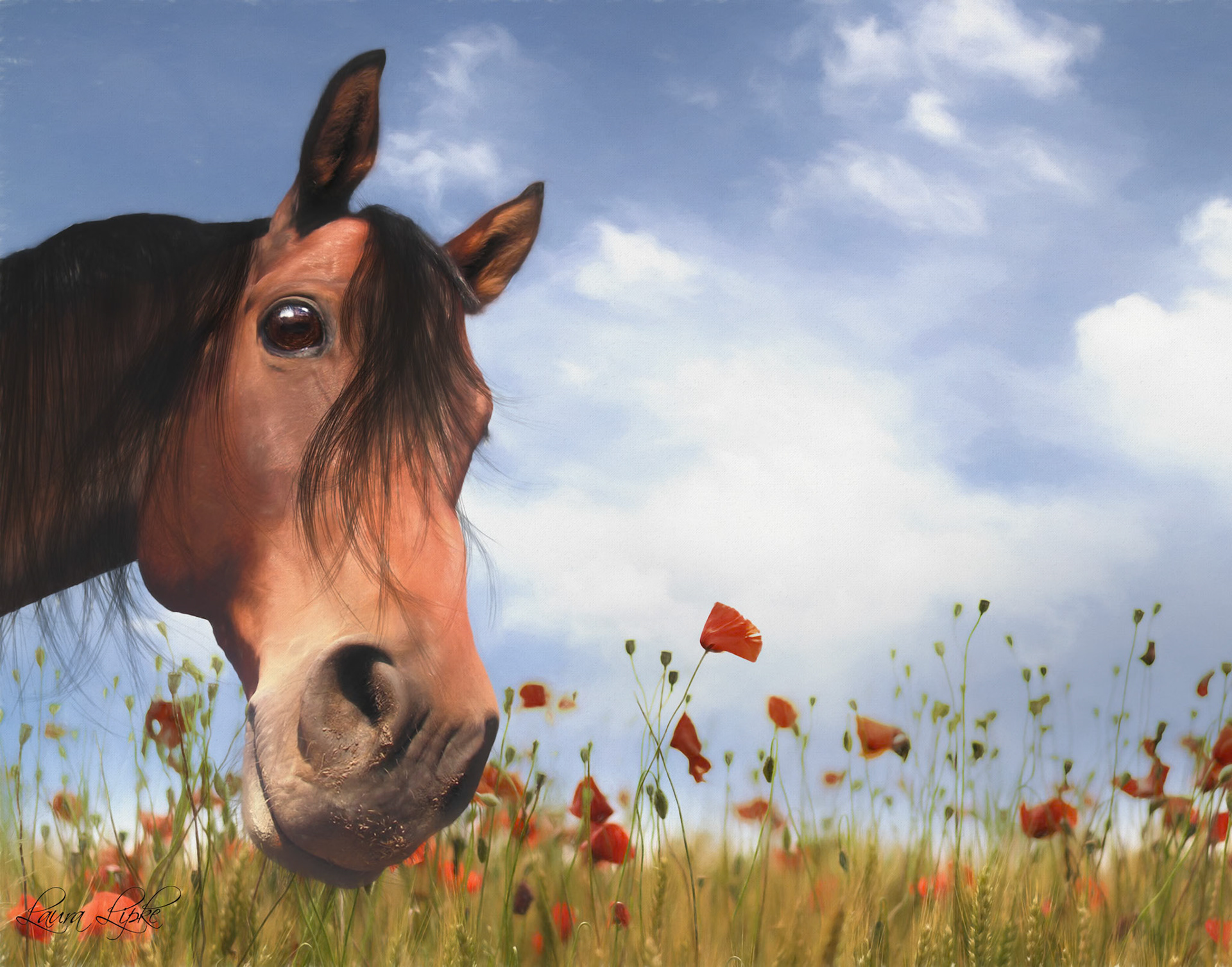 Looking for Carrots