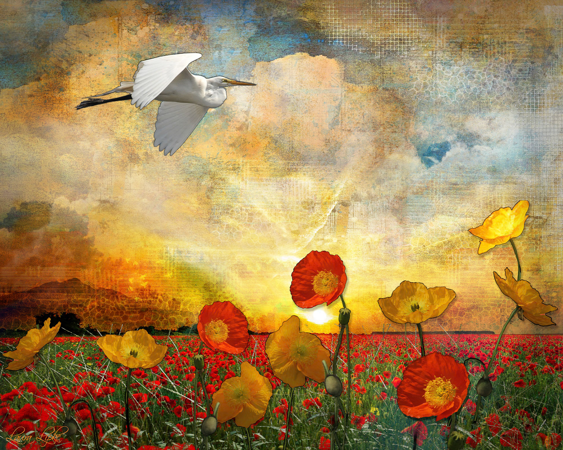 Choose to Fly