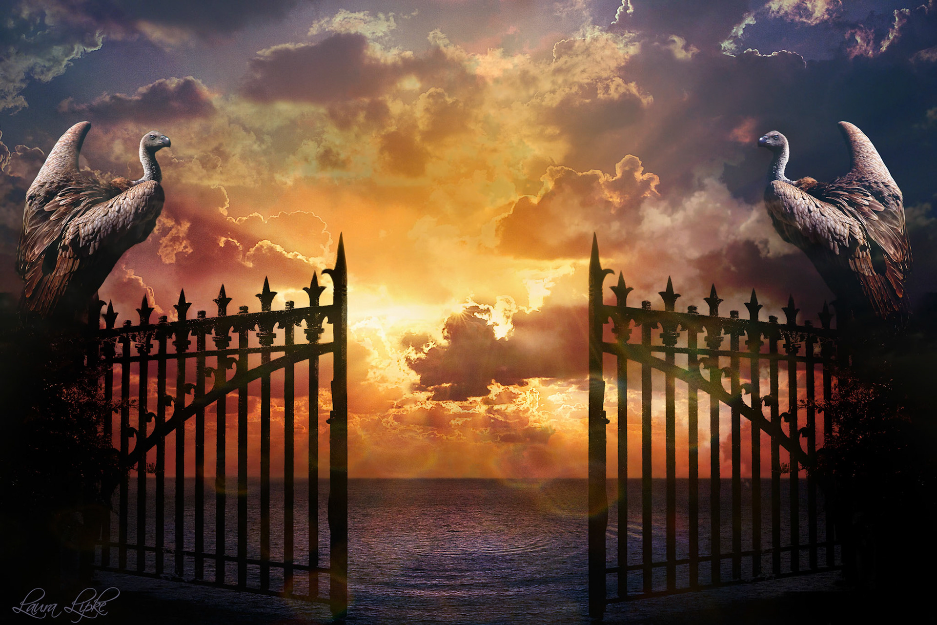 Unveiling Horizons