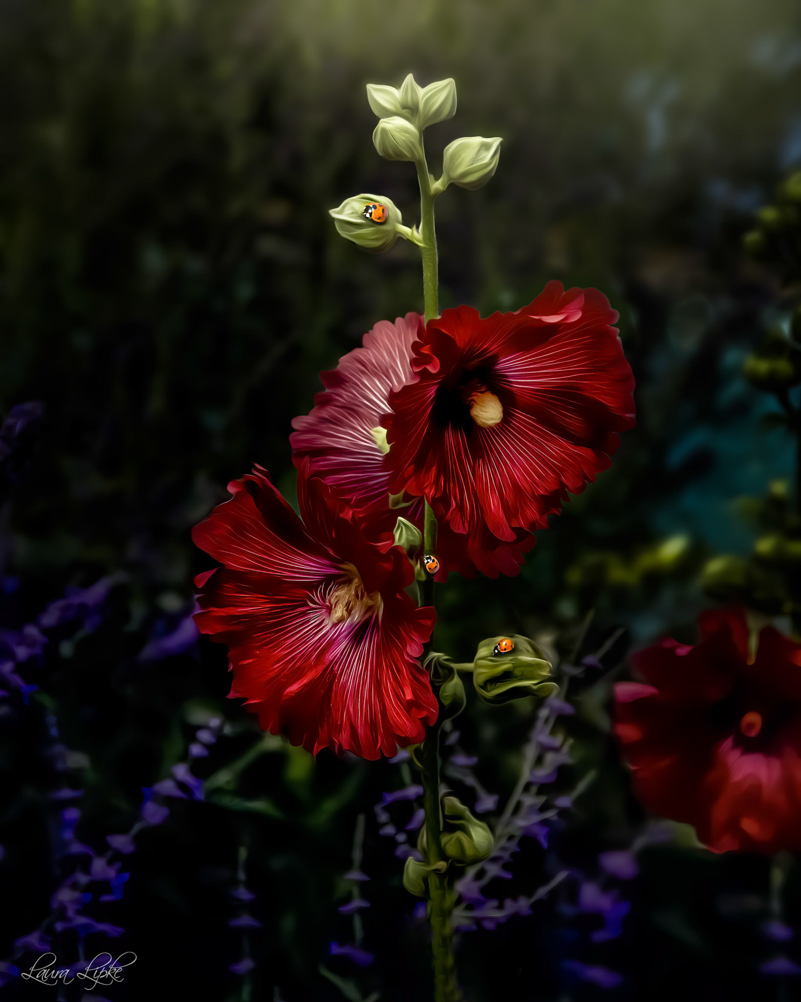 Garden Delight