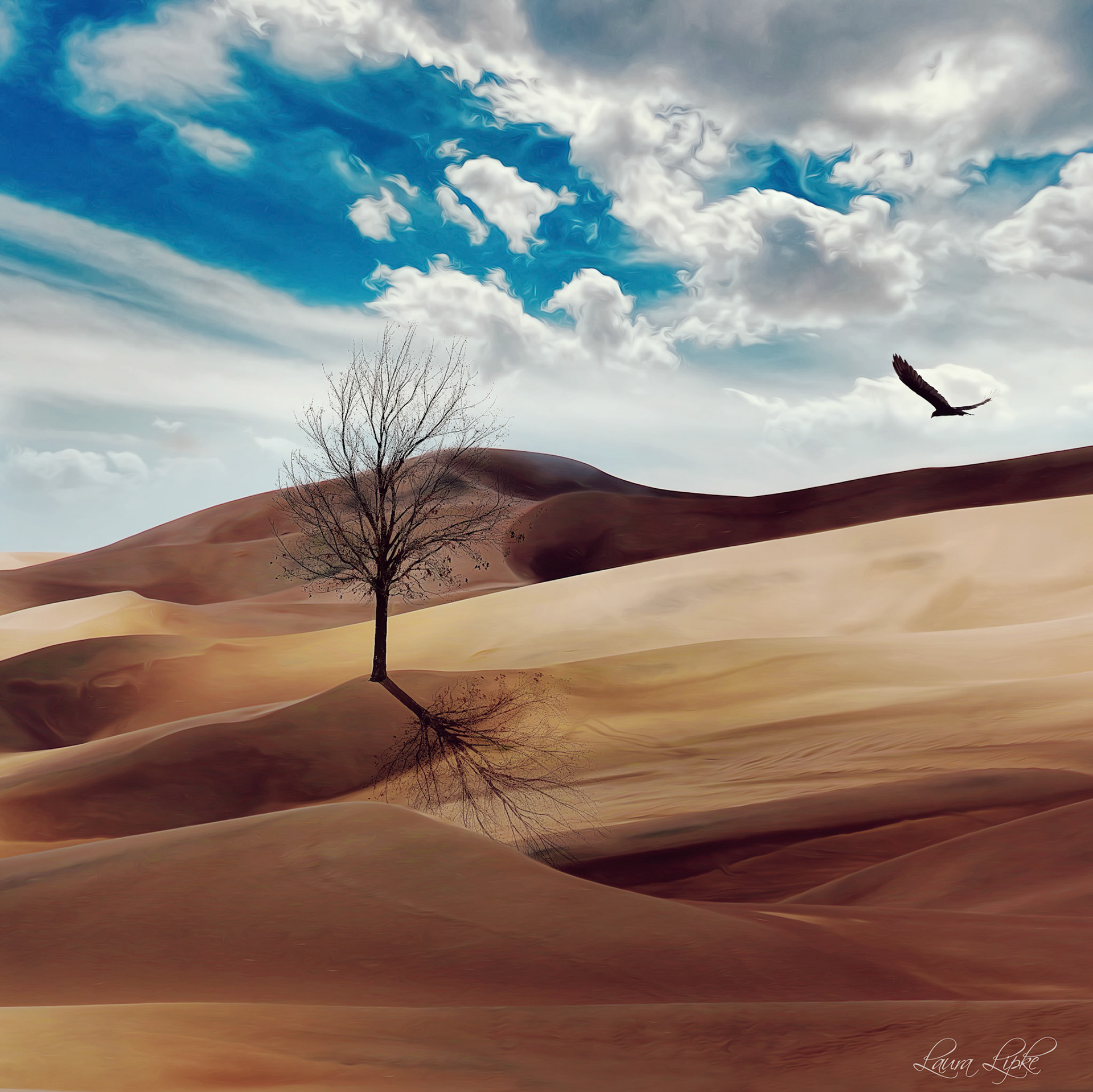 The Dunes