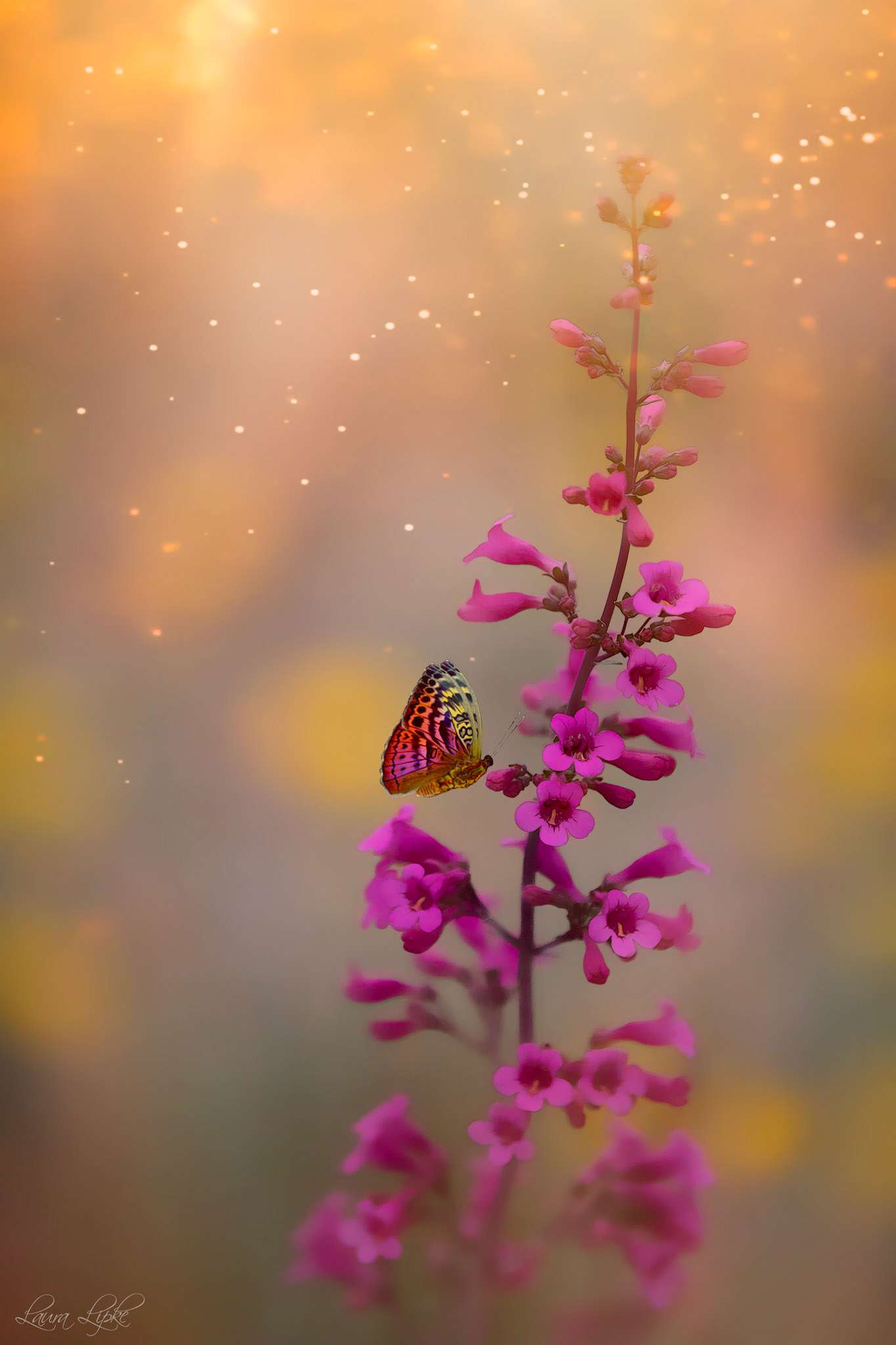 Just Breathe