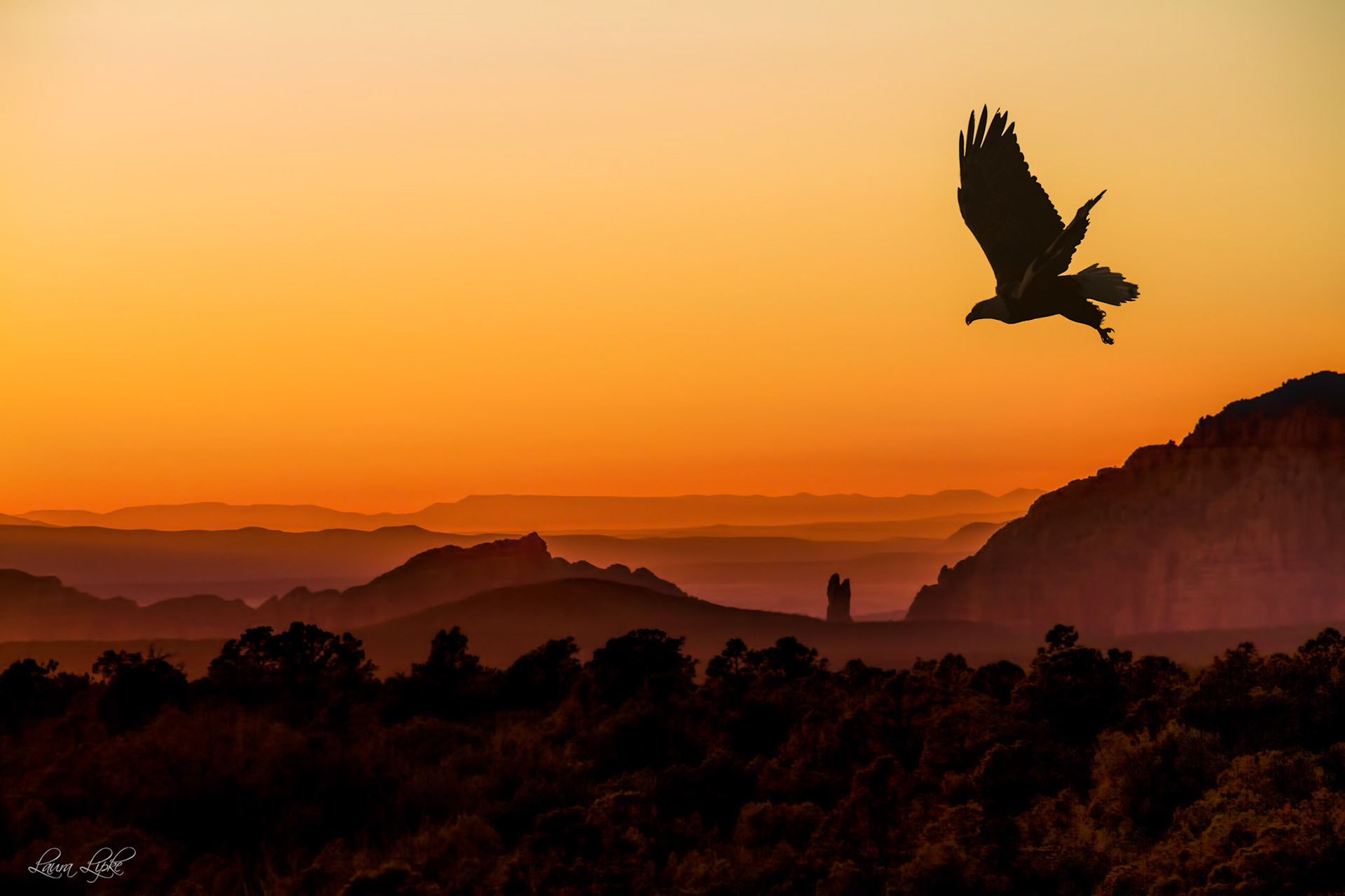 Overlooking Sedona