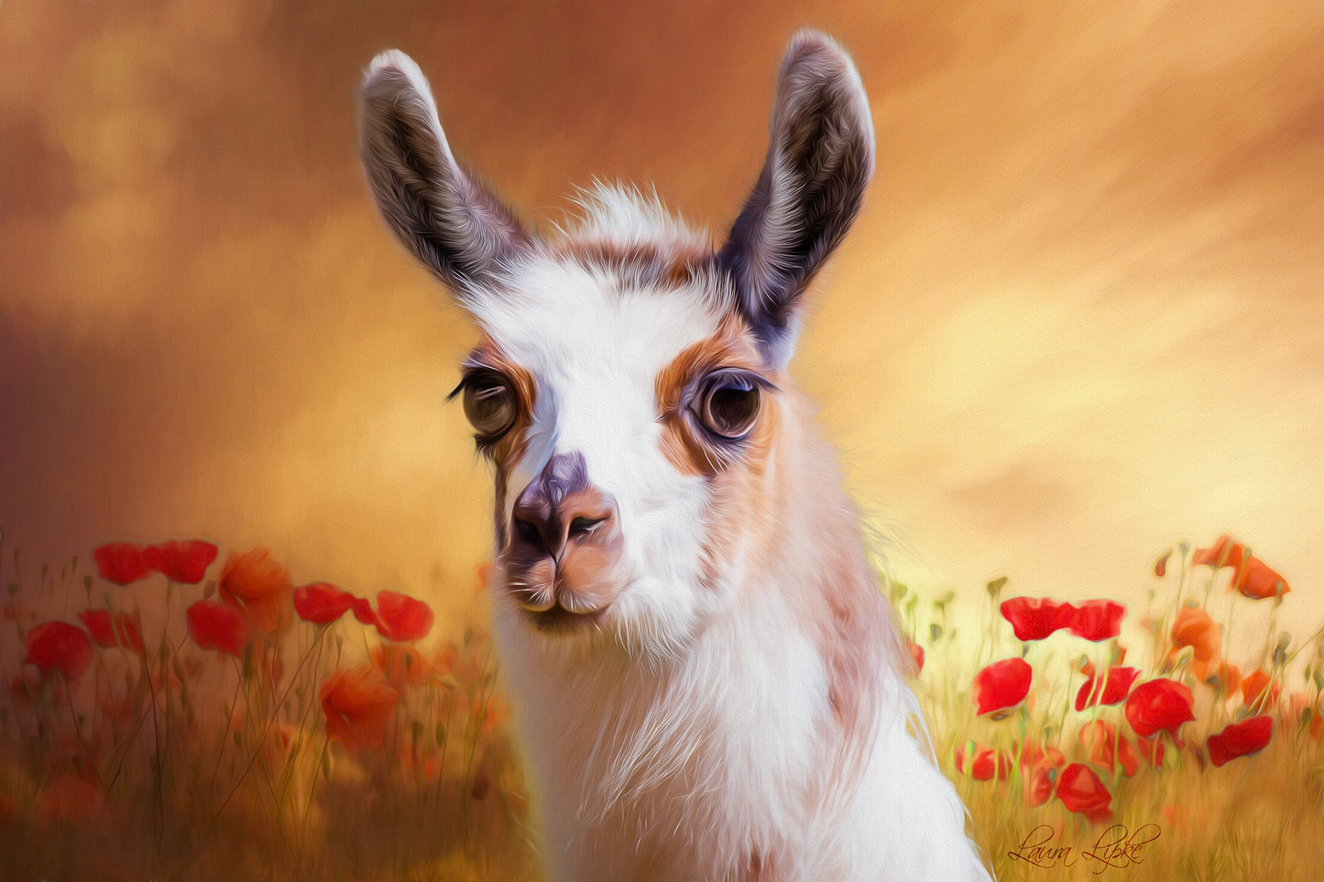 Llama